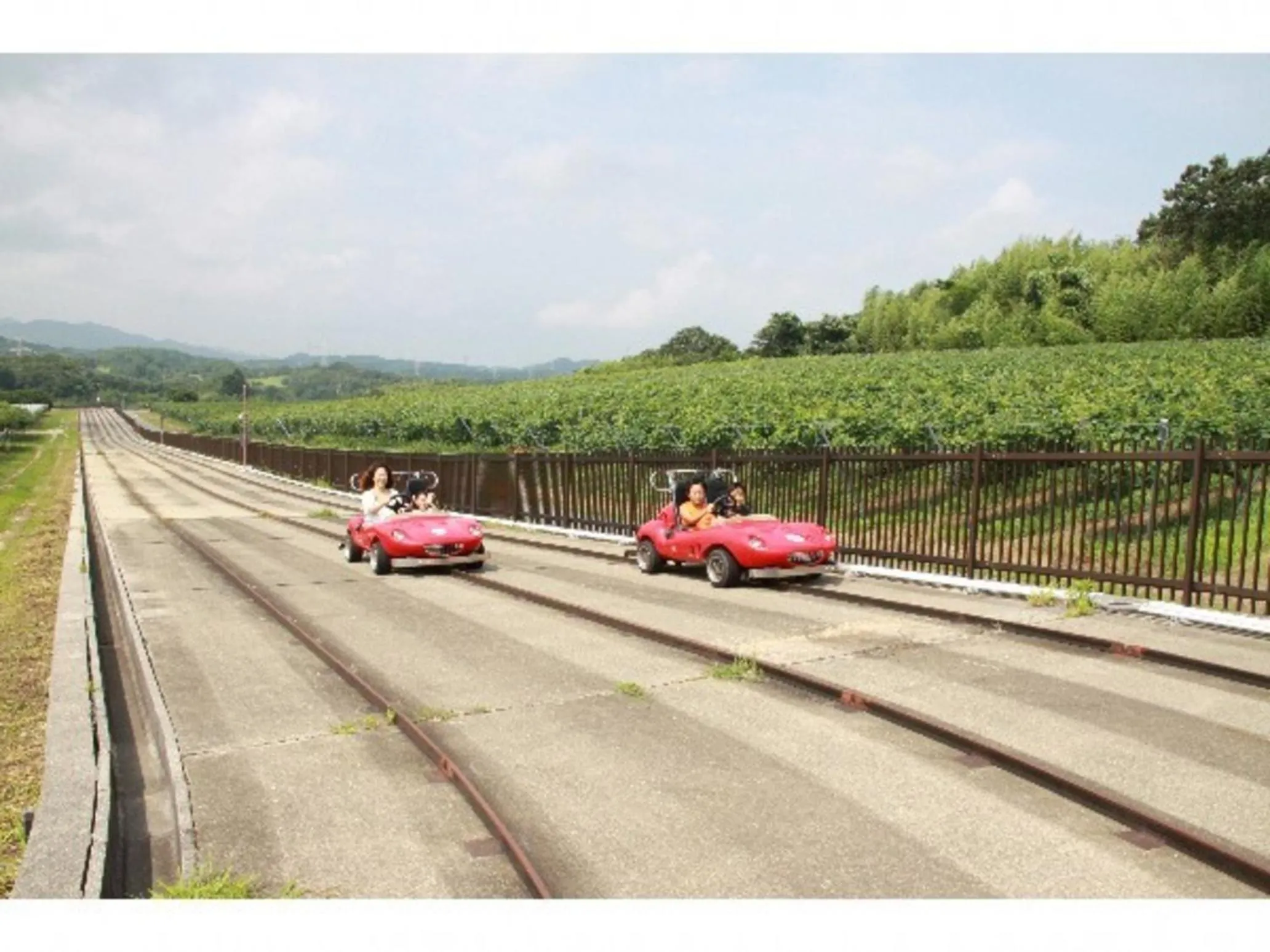 Kobe Hotel Fruit Flower