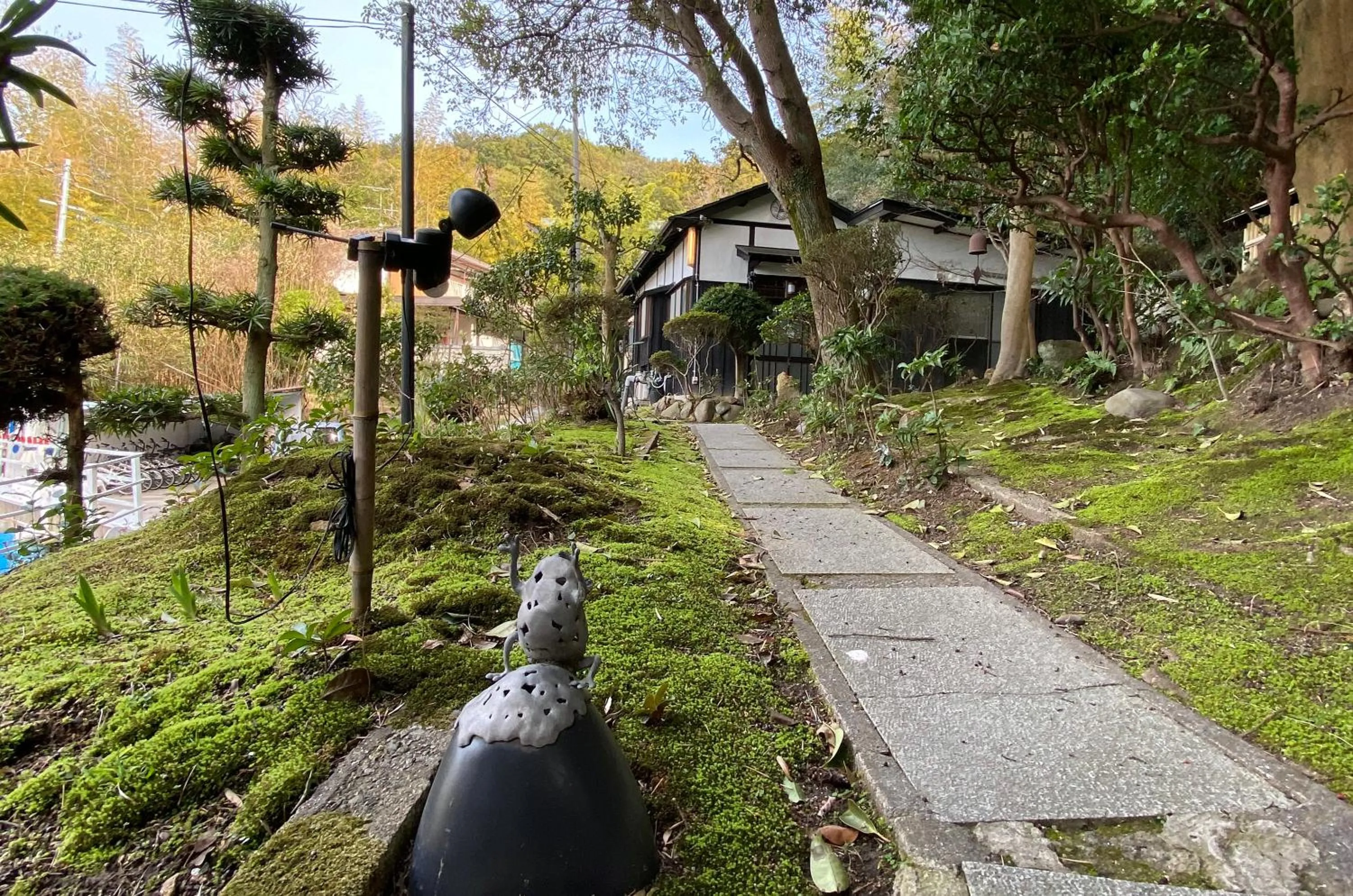 Day in Bamboo Village Guest House
