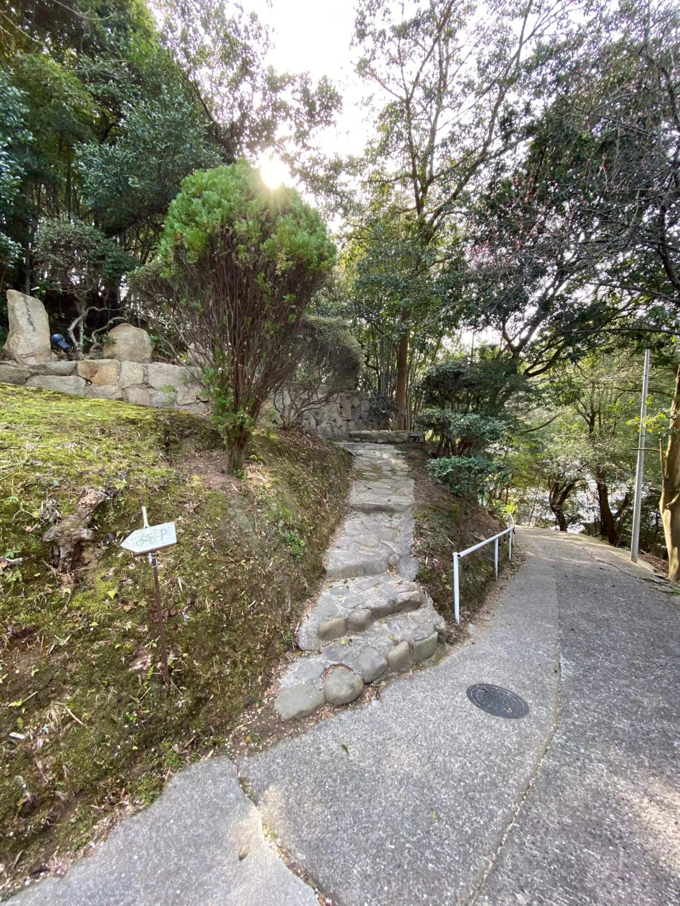 Day in Bamboo Village Guest House