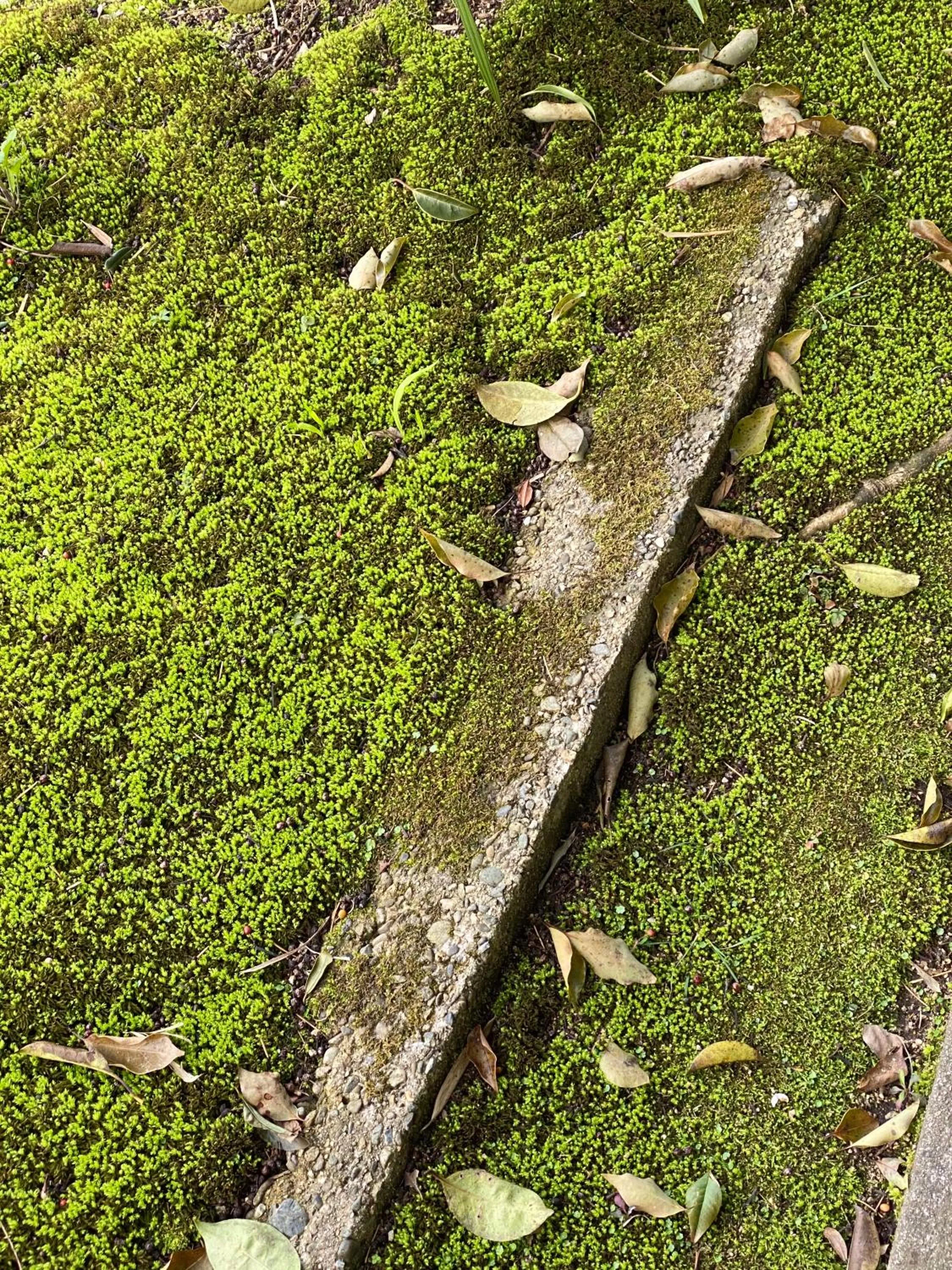 Day in Bamboo Village Guest House