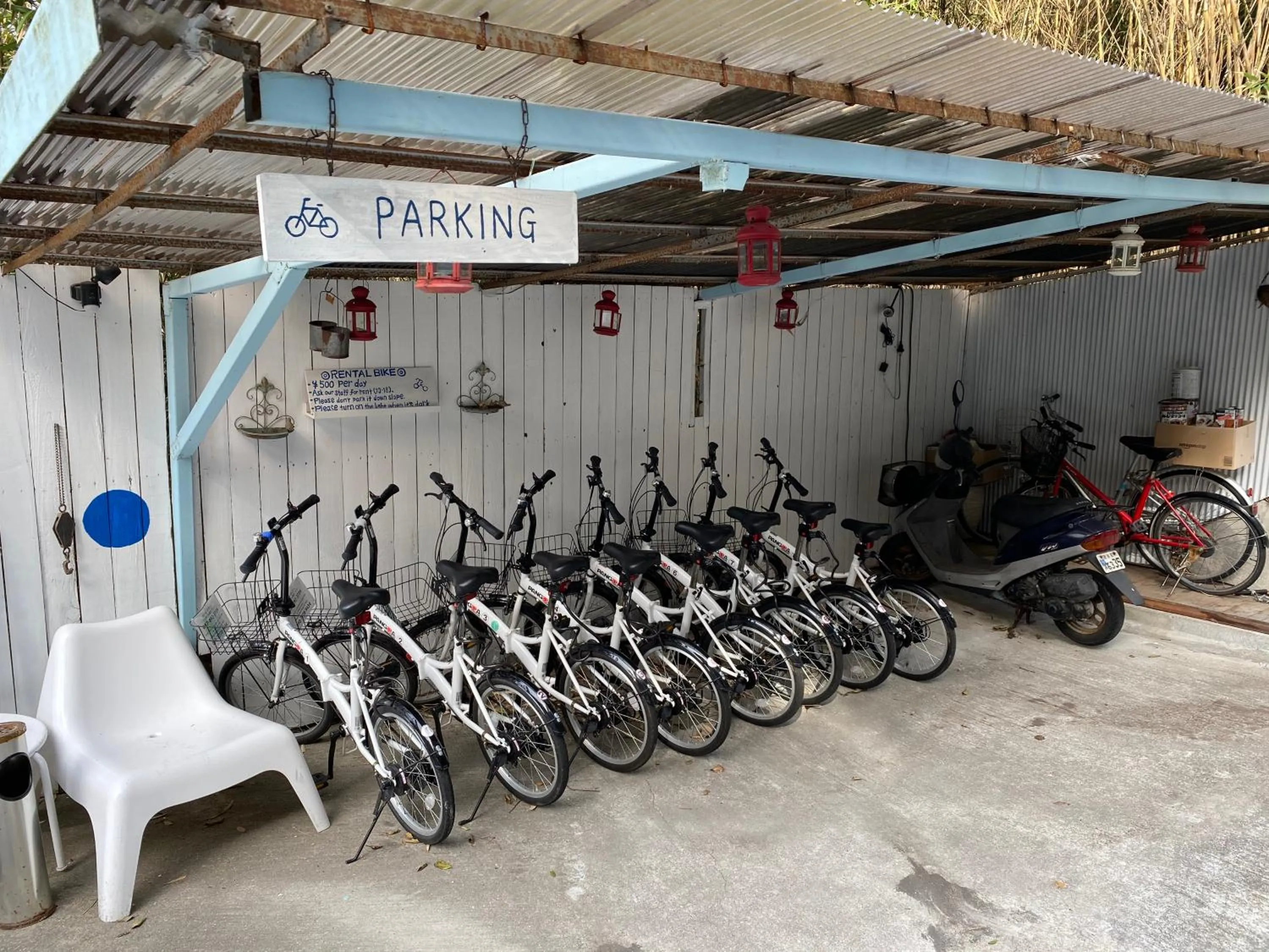 Cycling in Bamboo Village Guest House