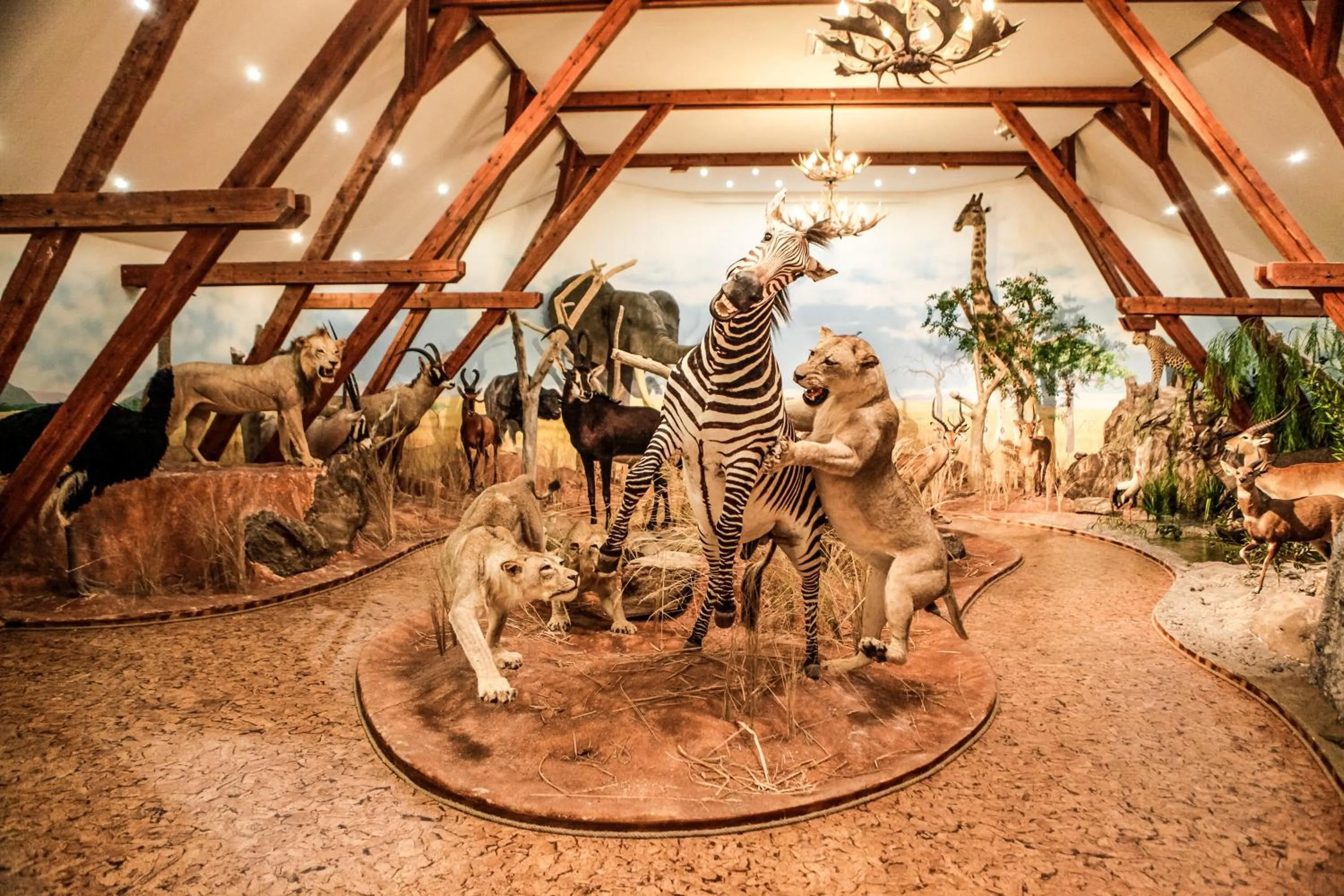 Activities in Hunor Hotel és Étterem