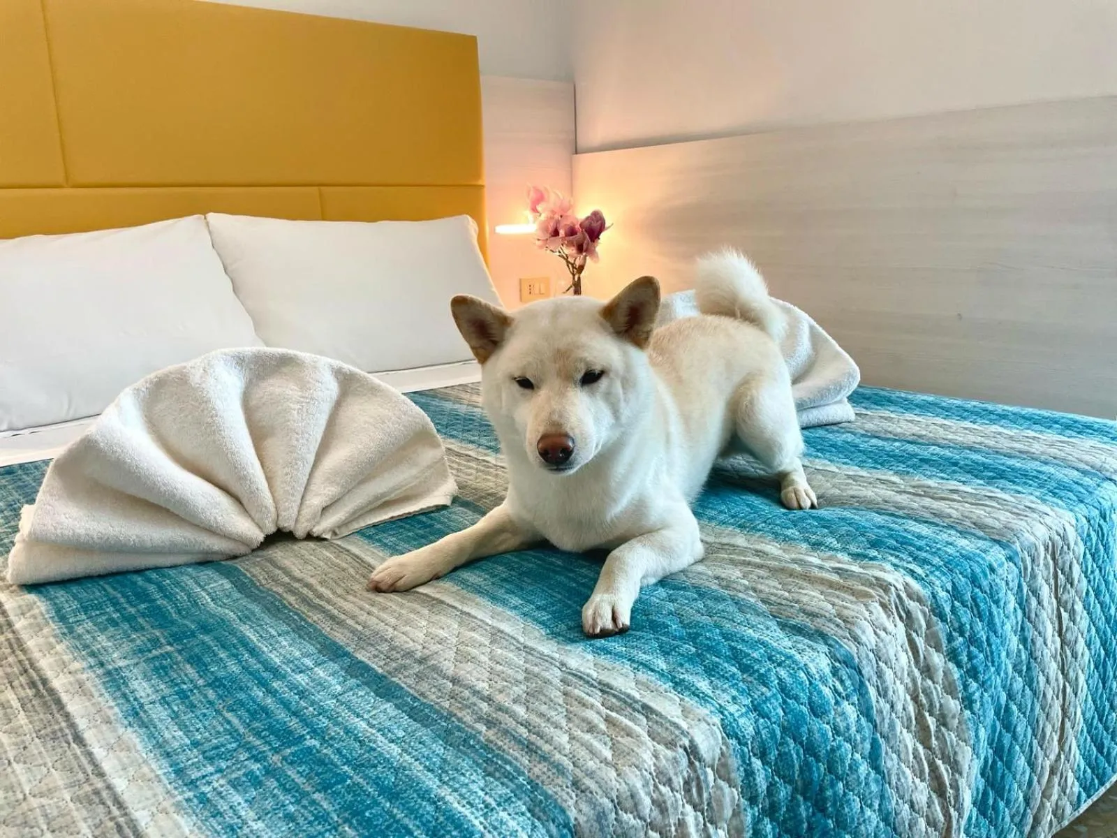 Bedroom, Bed in Hotel Crystal NUOVA GESTIONE 2025