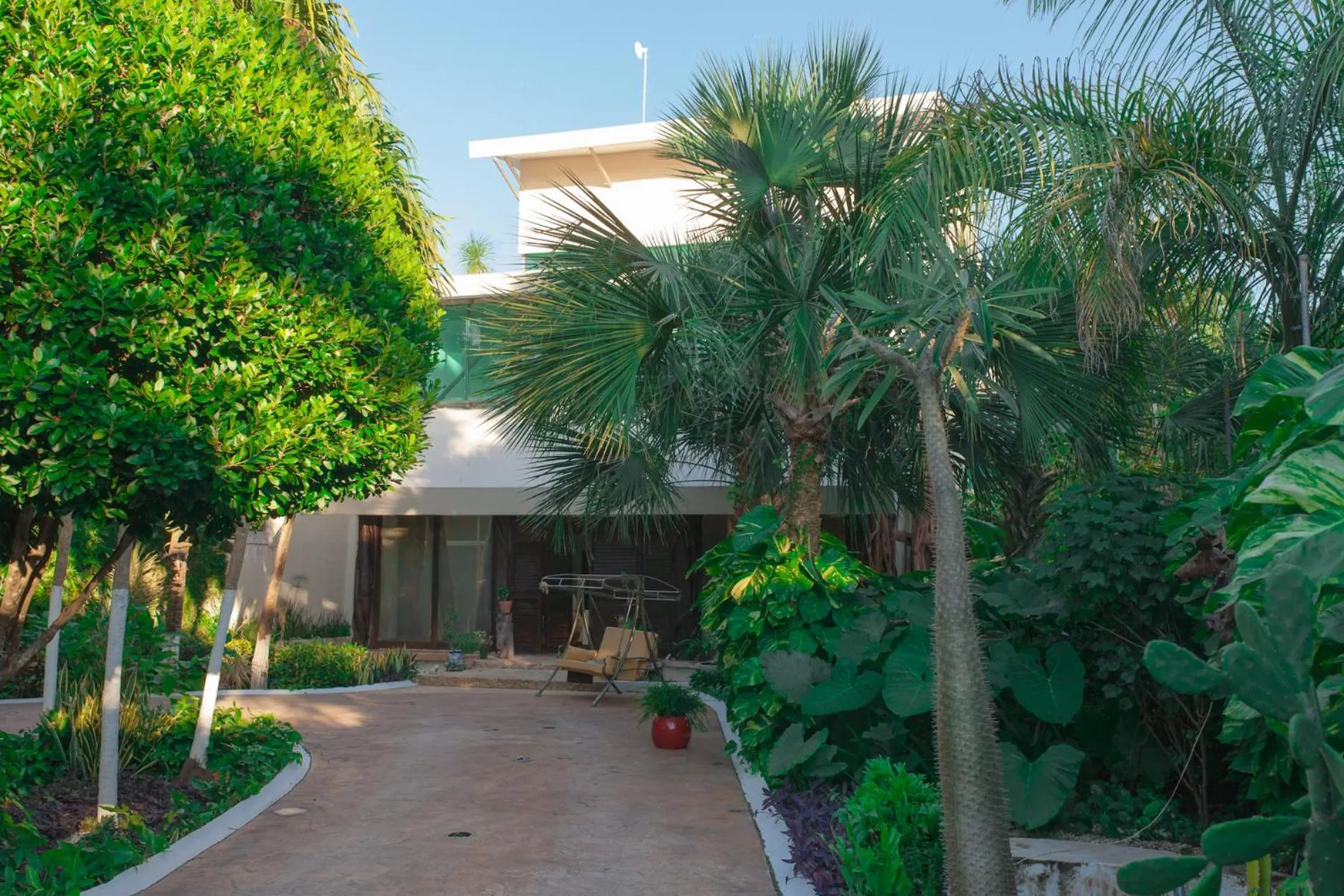 Garden in Casa la Selva