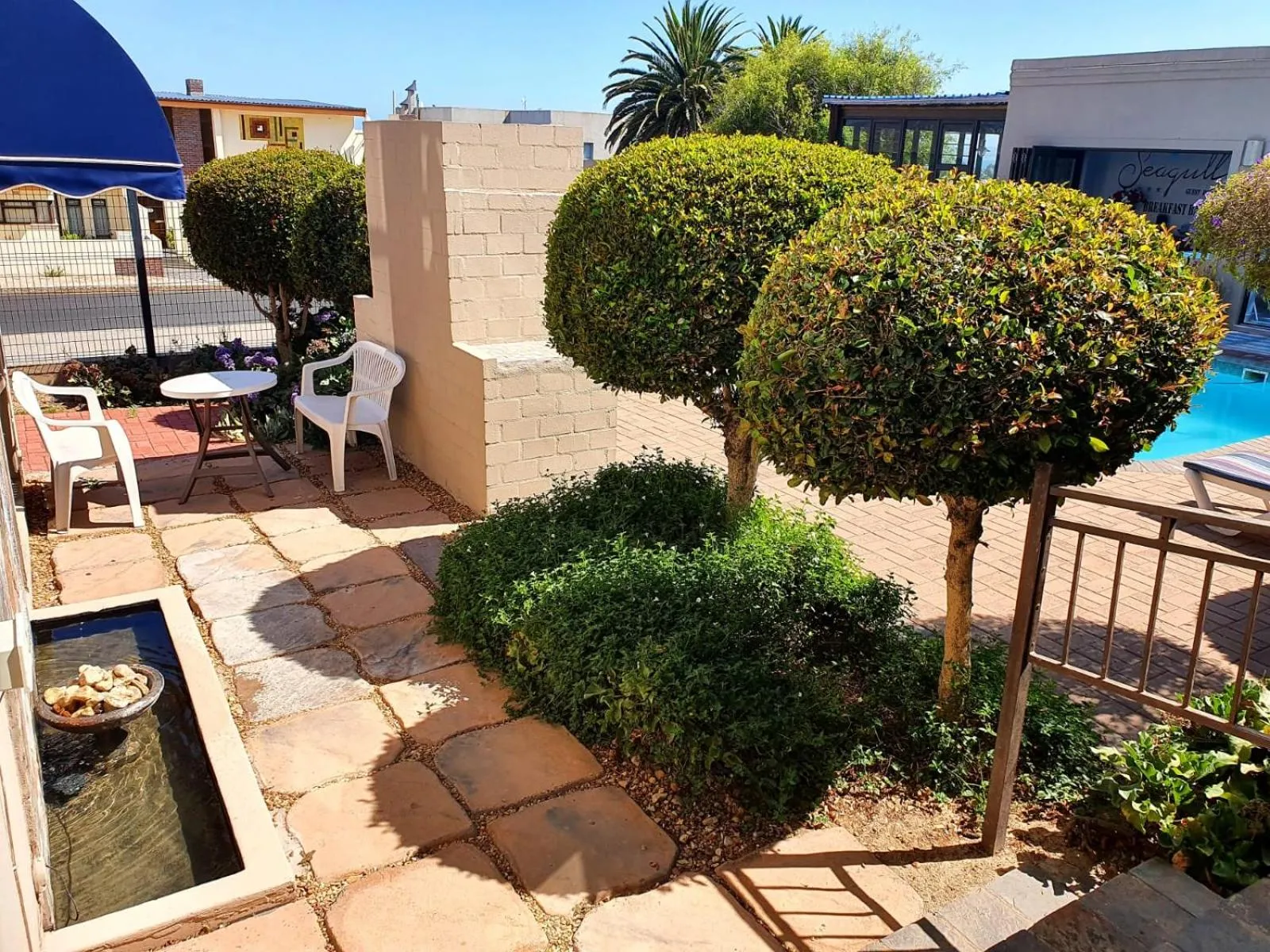 Garden in Seagulls Guest House