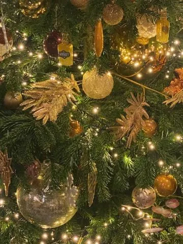 Decorative detail in Hotel Villa Verdi