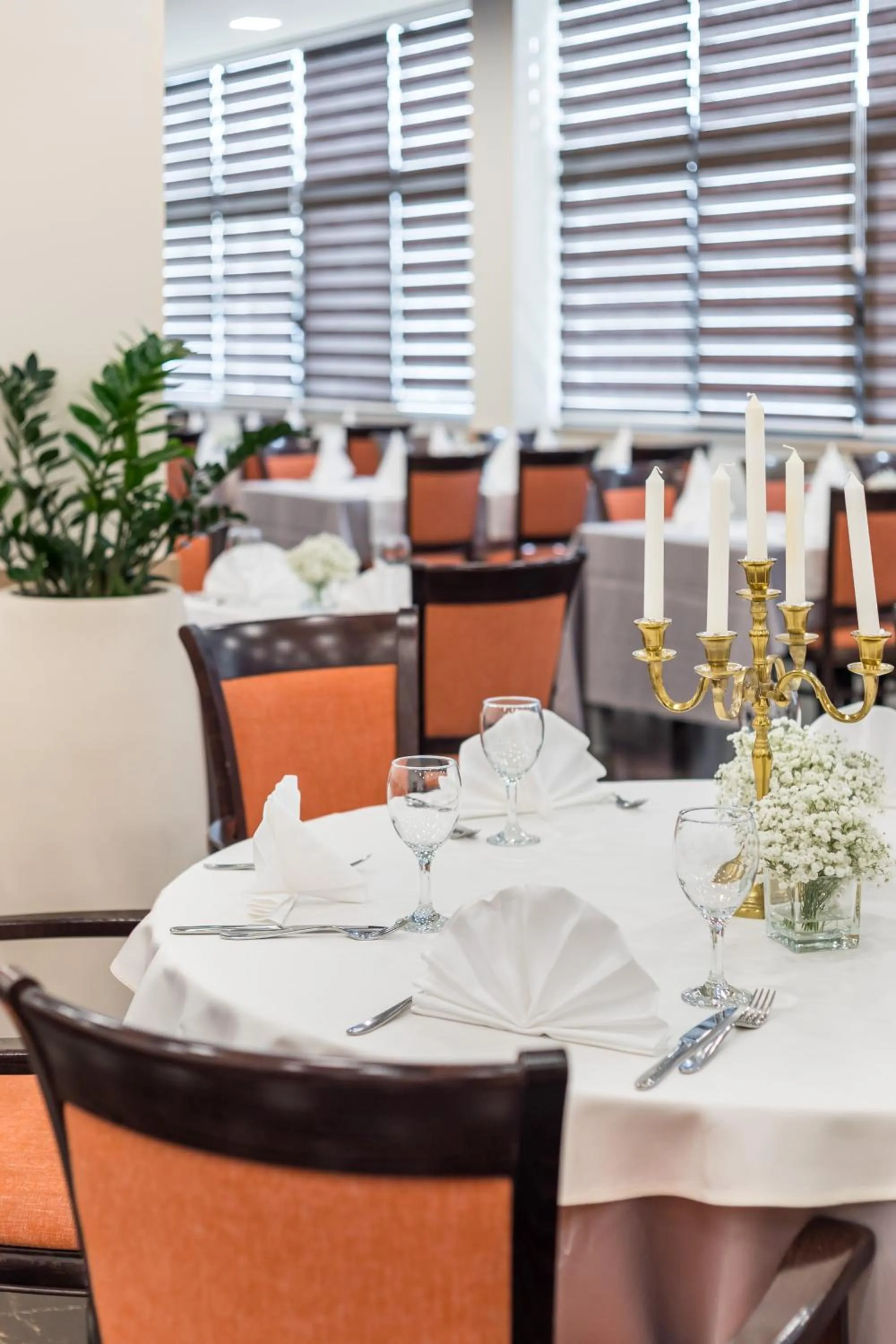 Restaurant/places to eat in Hotel Mondo