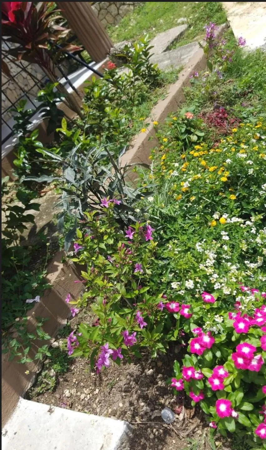 Garden view in Boutique B&B at Stone Village