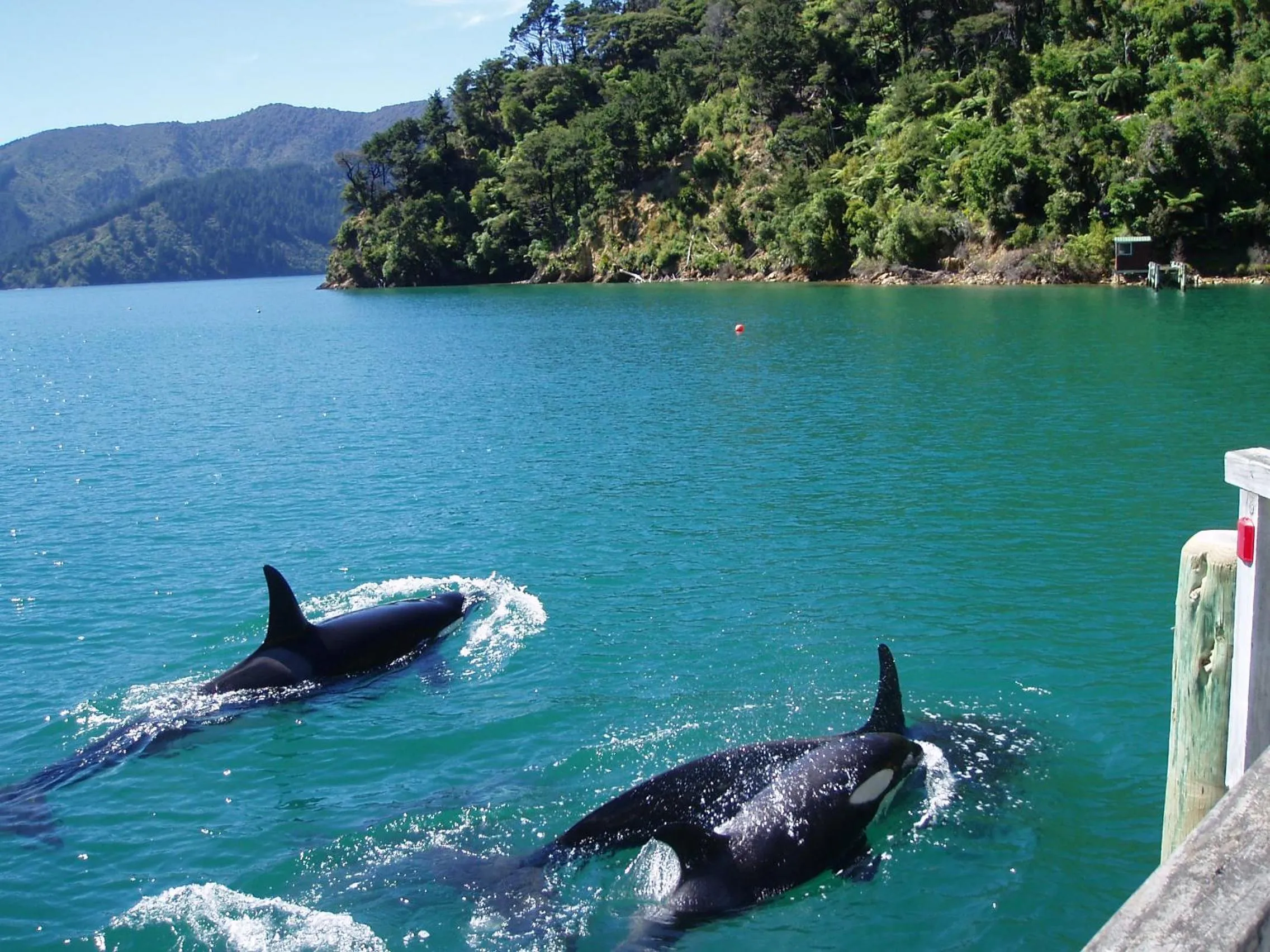 Natural landscape in The Lodge At Te Rawa