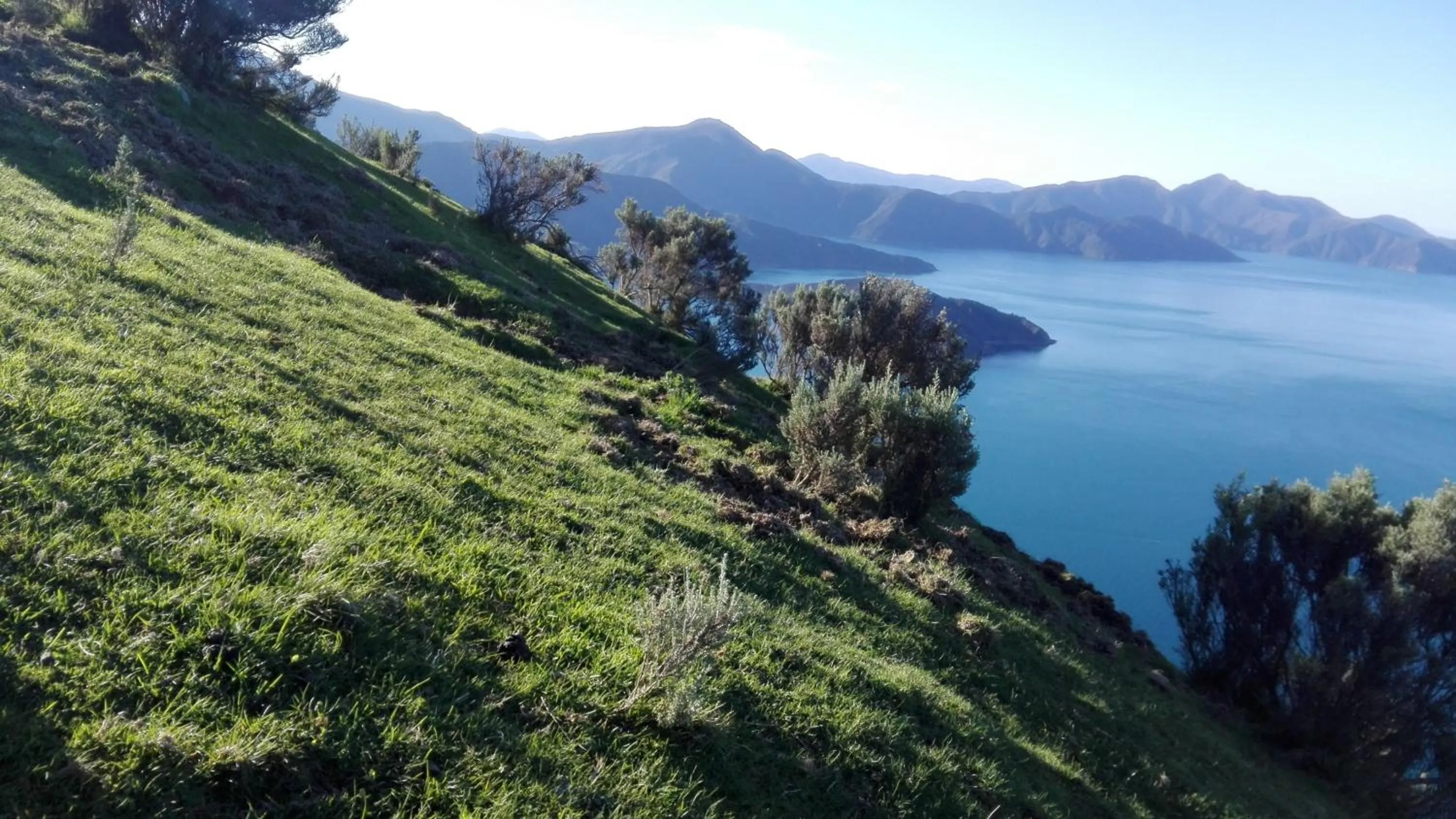 Hiking in The Lodge At Te Rawa
