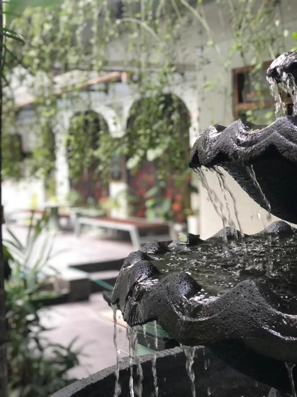 Raintree Boutique Villa & Gallery