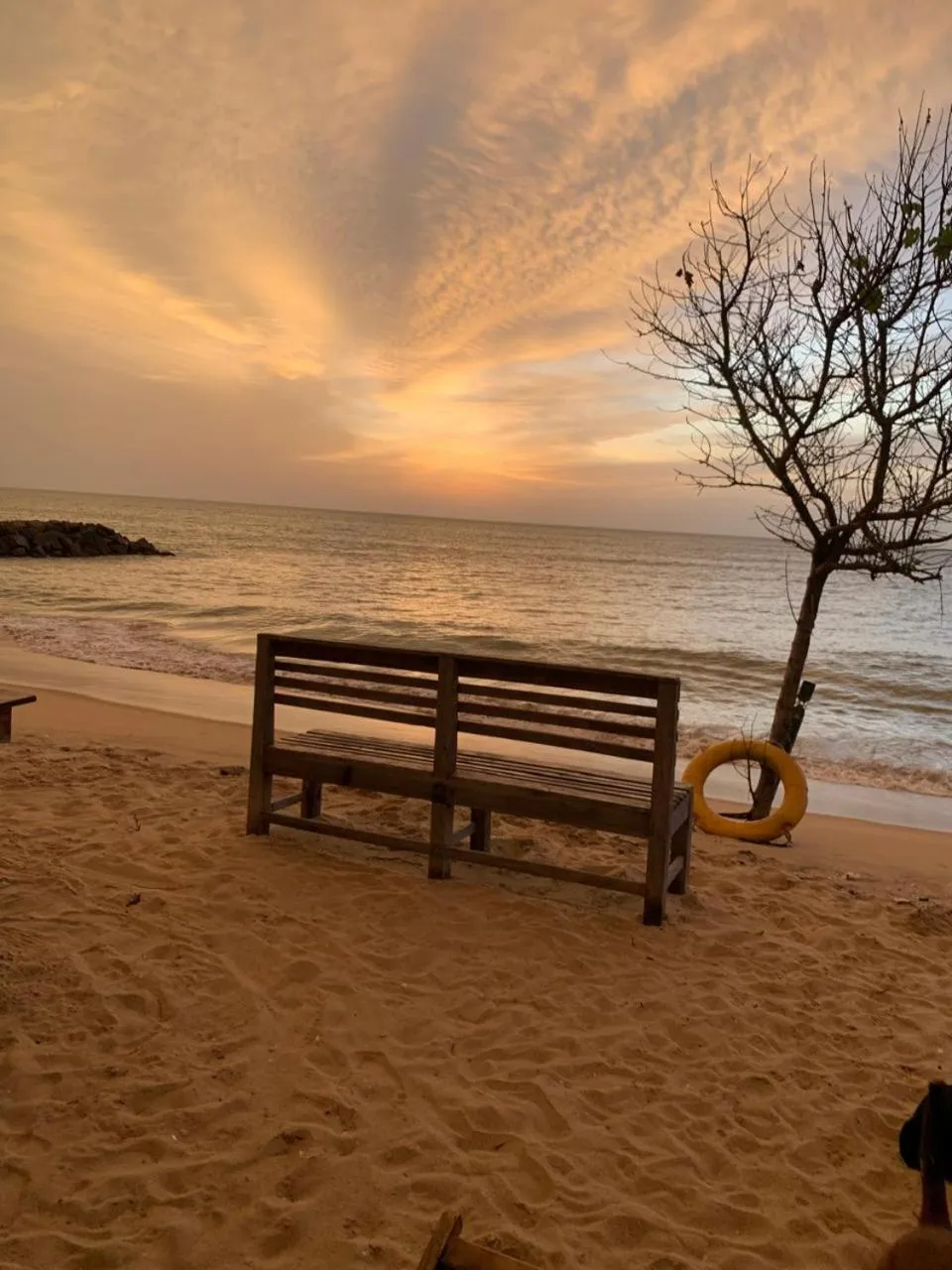 Natural landscape in Ocean View Beach Resort - Kalpitiya