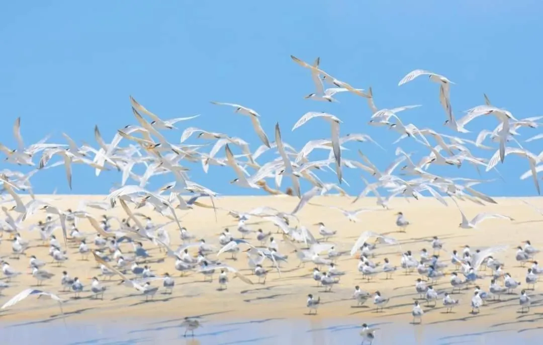 Ocean View Beach Resort - Kalpitiya