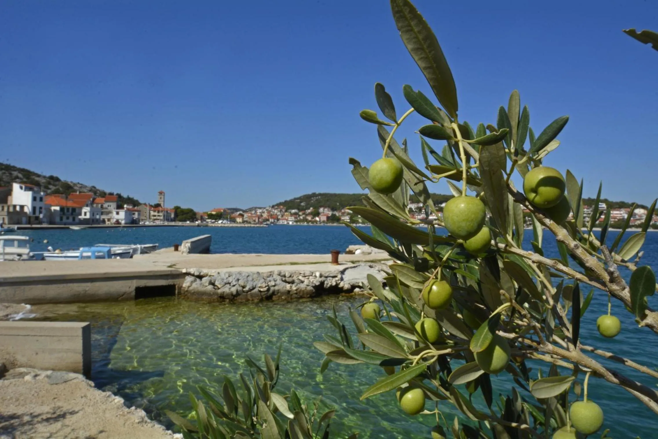 Other in Hotel Borovnik