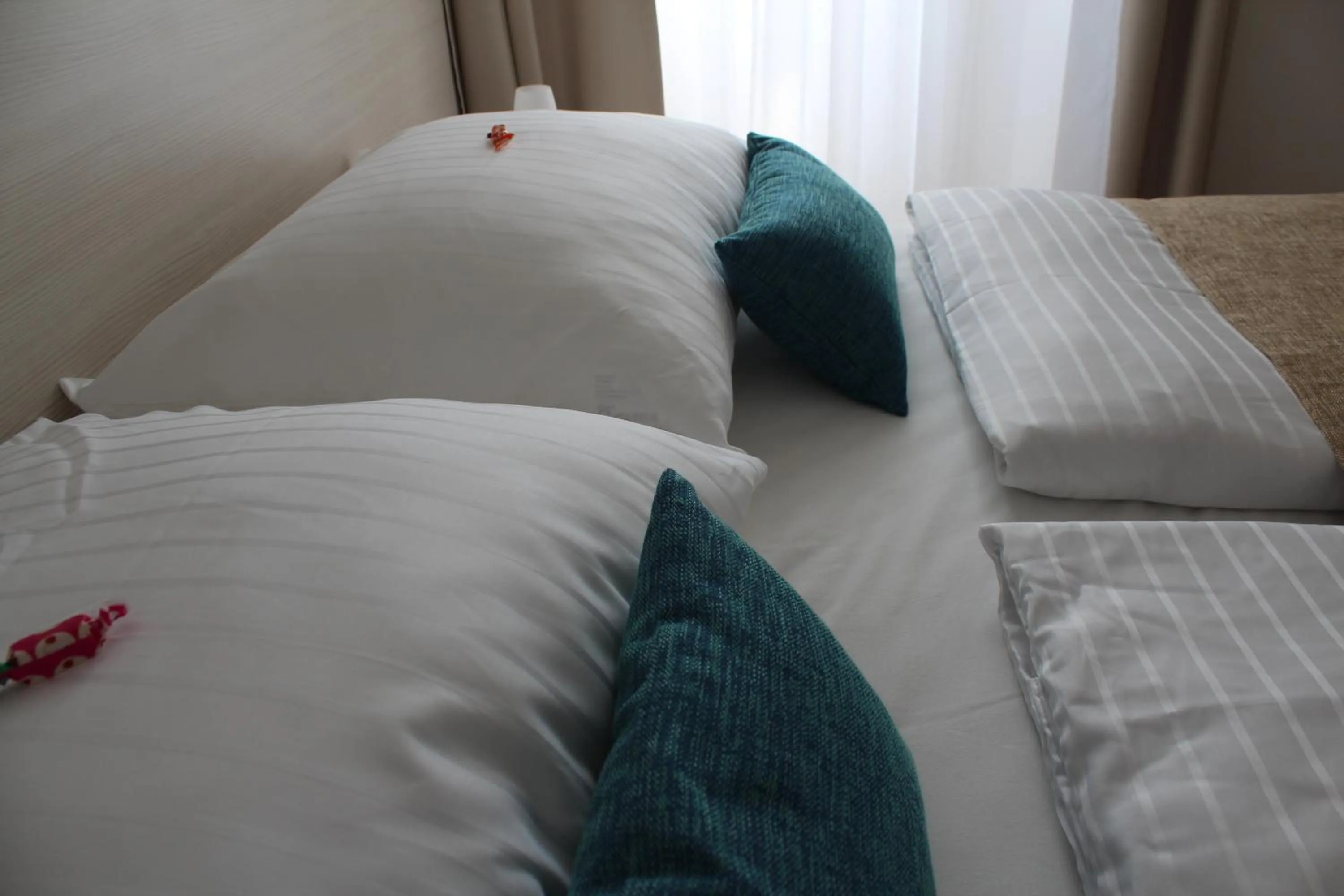 Bed in Hotel Borovnik