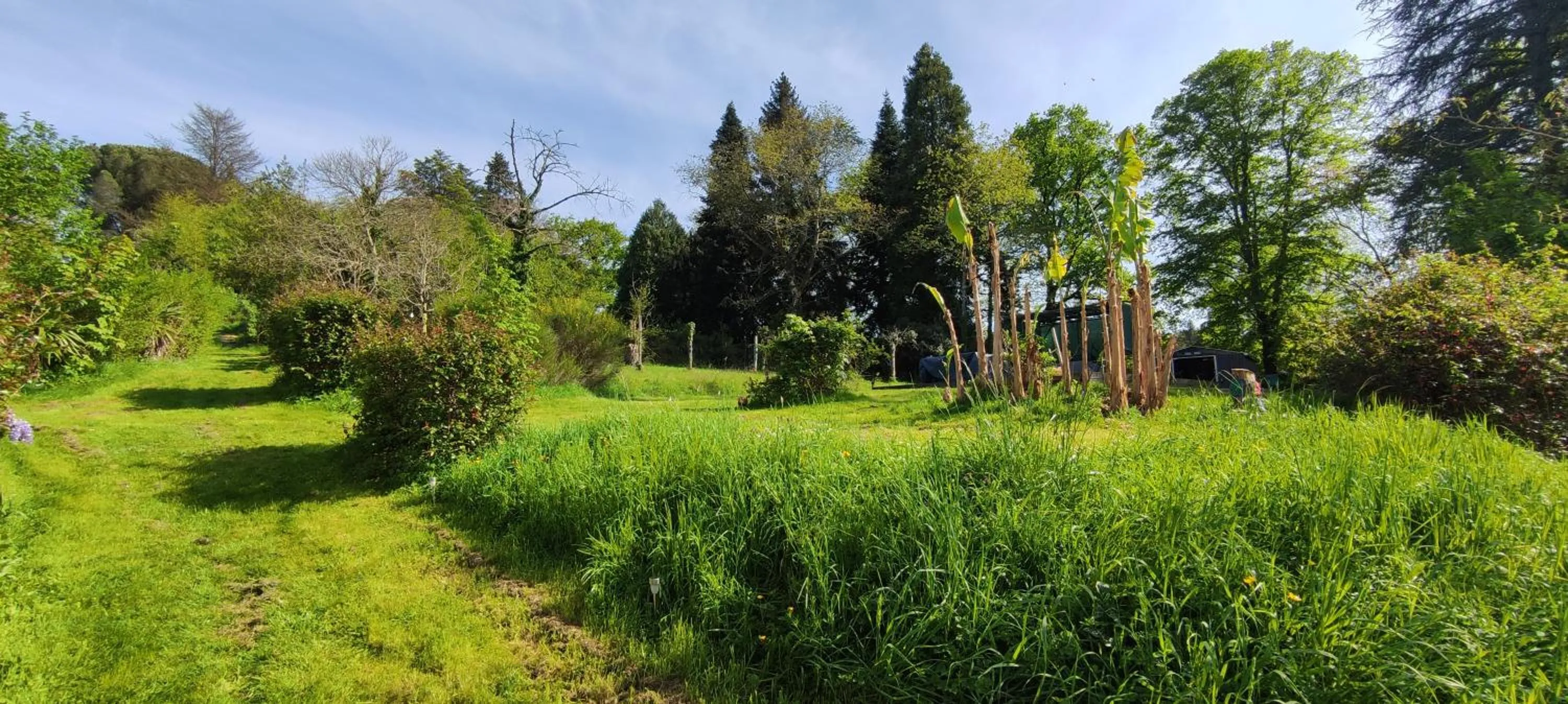 Garden view in 13 Bees