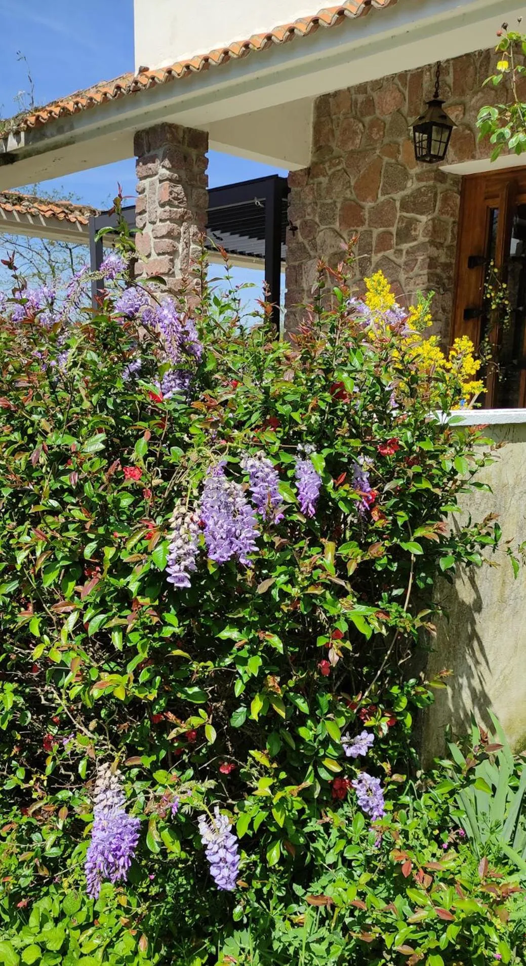 Facade/entrance in 13 Bees