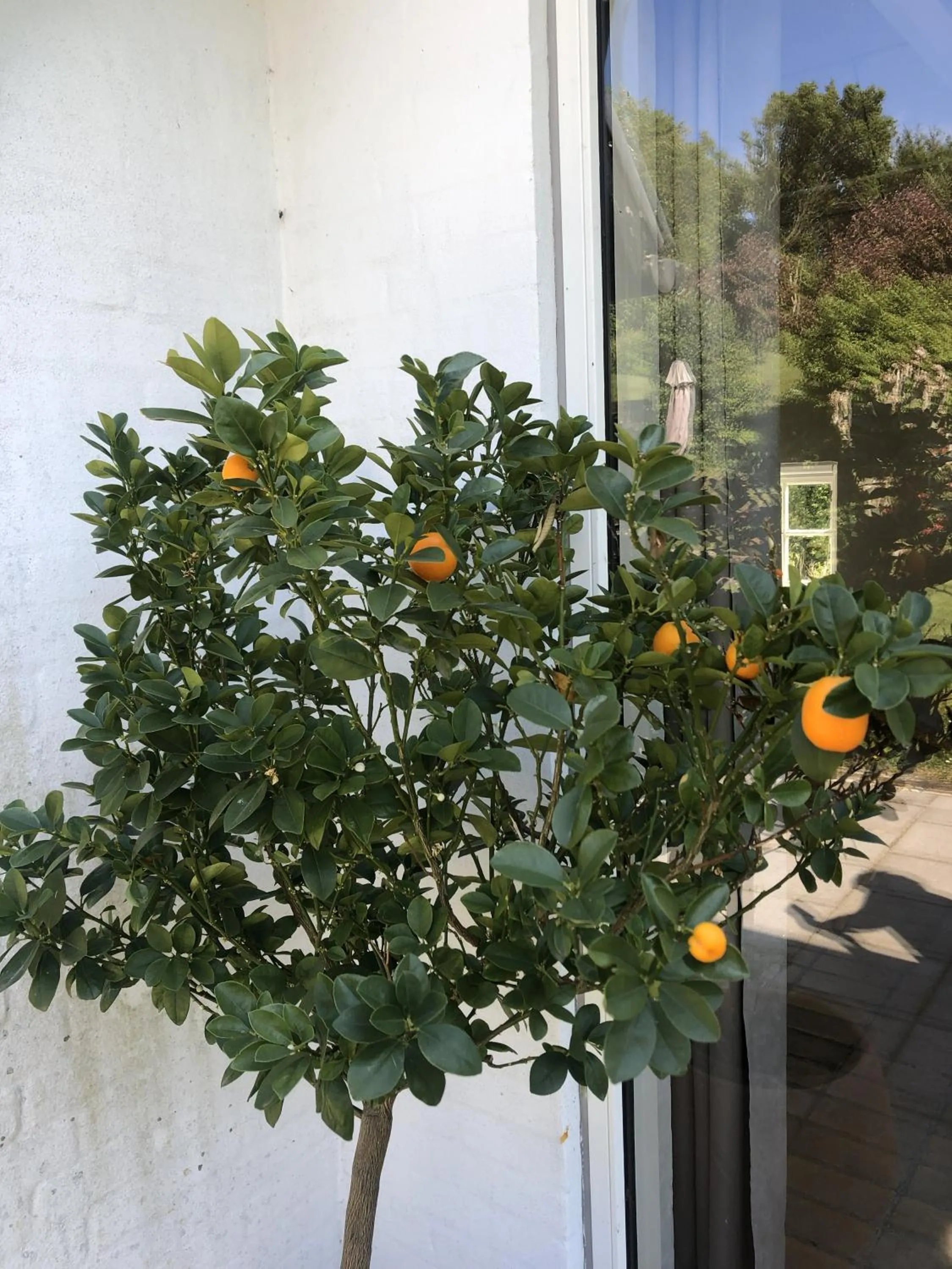 Heltoften Bed & Breakfast