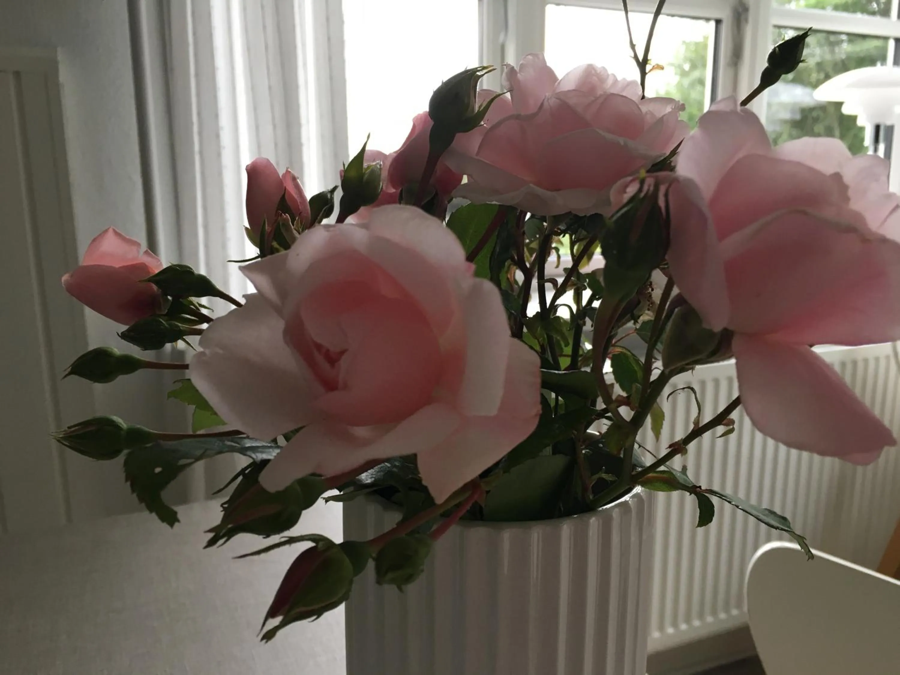 Area and facilities in Heltoften Bed & Breakfast