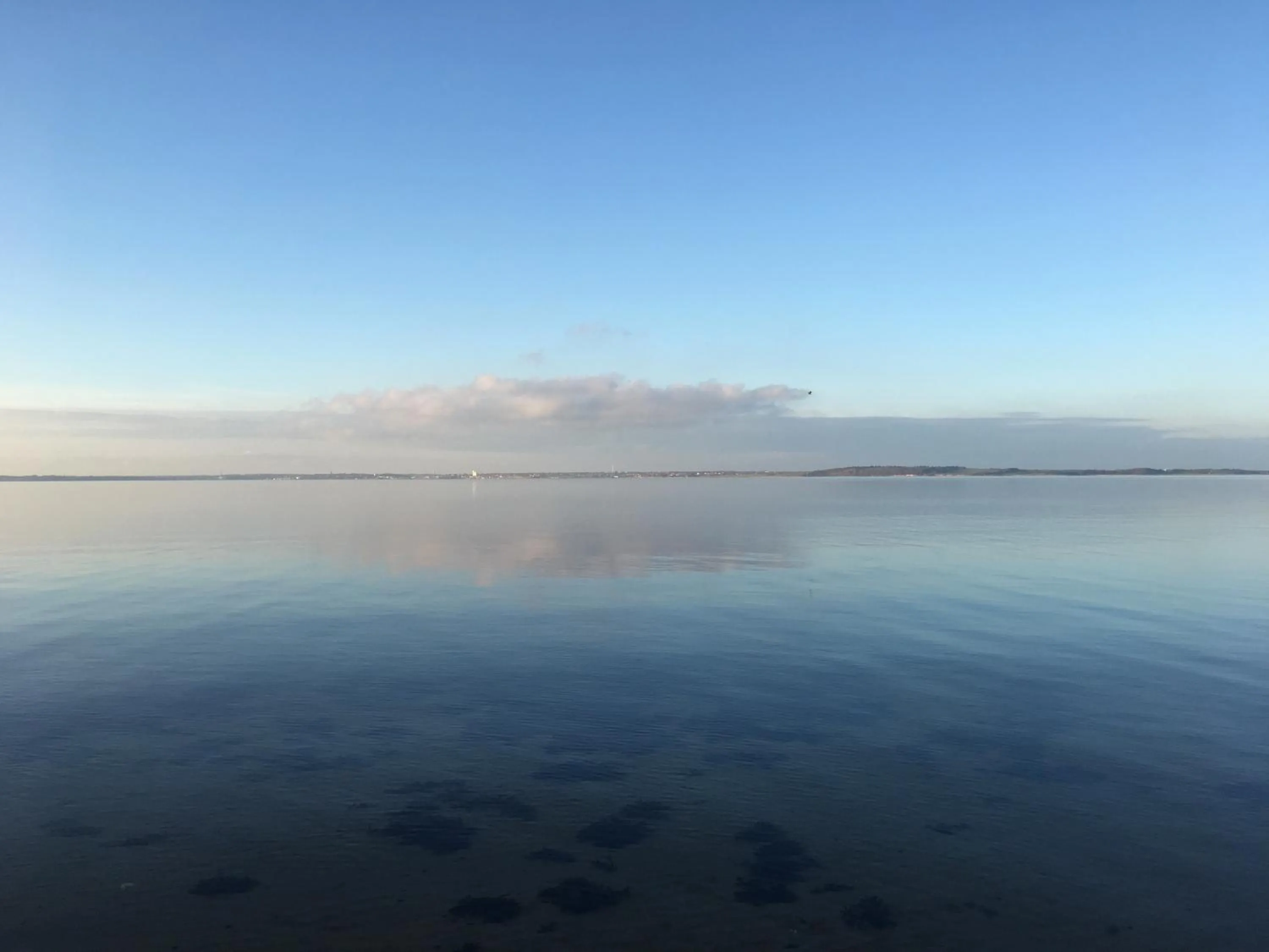 Natural landscape in Heltoften Bed & Breakfast