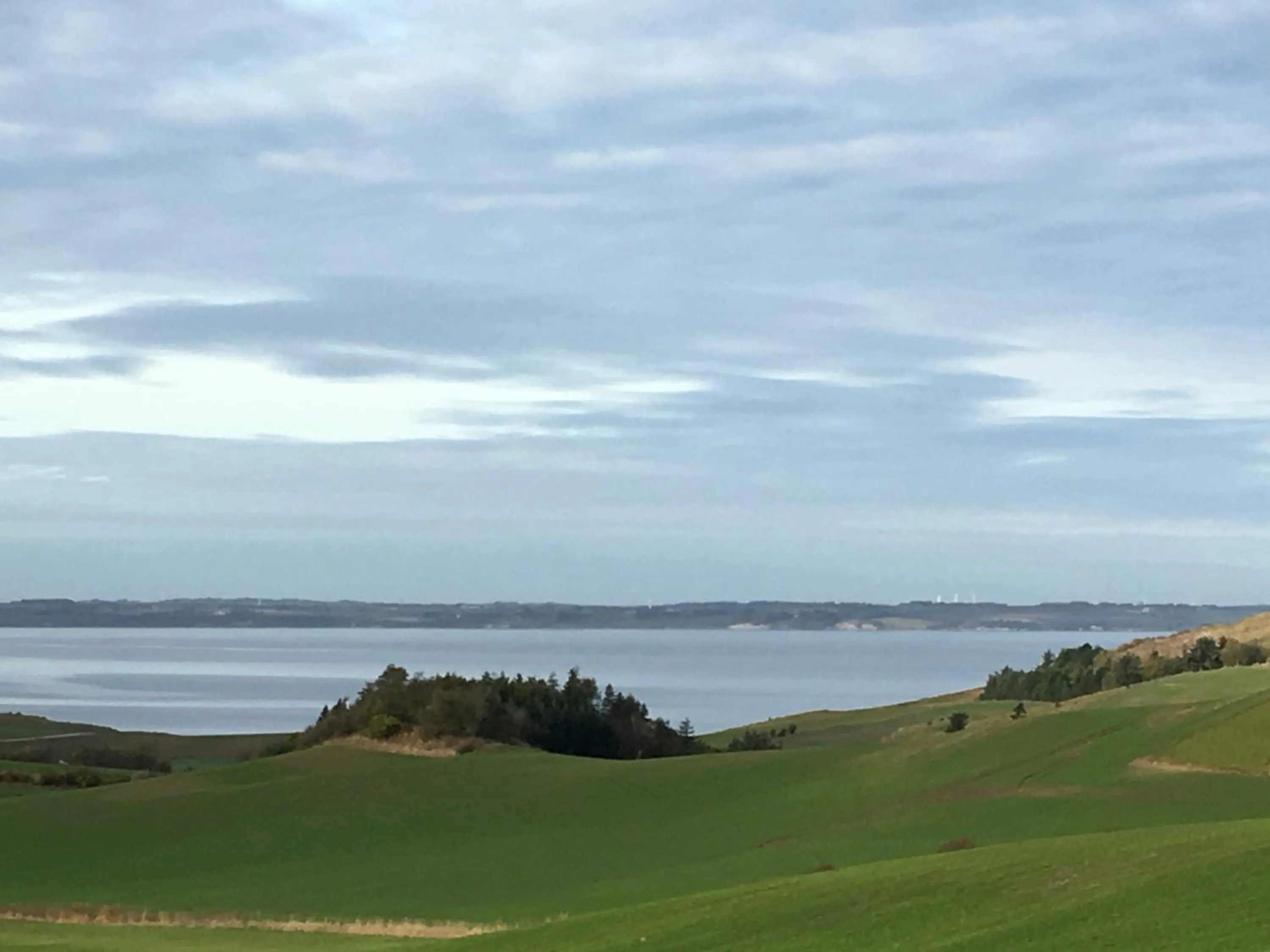 Natural landscape in Heltoften Bed & Breakfast