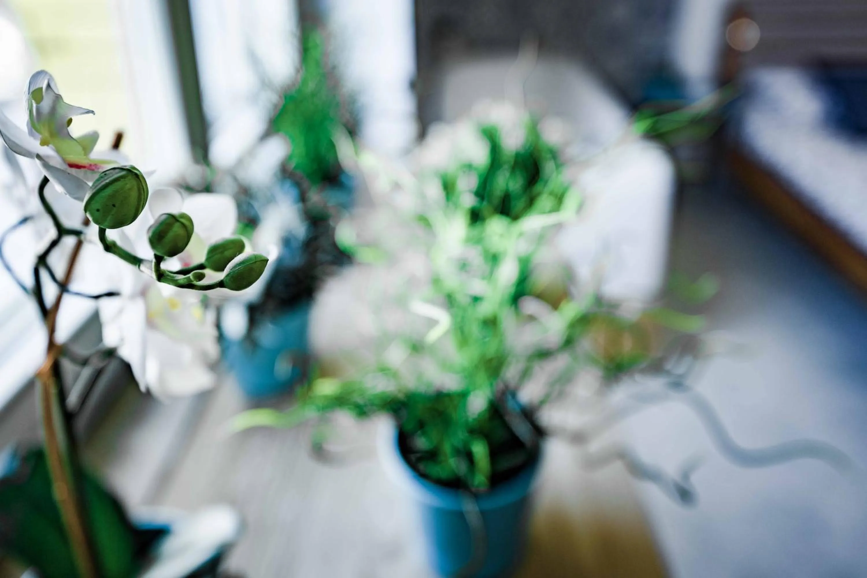Decorative detail in On the beach Sea-view&Kitchen In Room