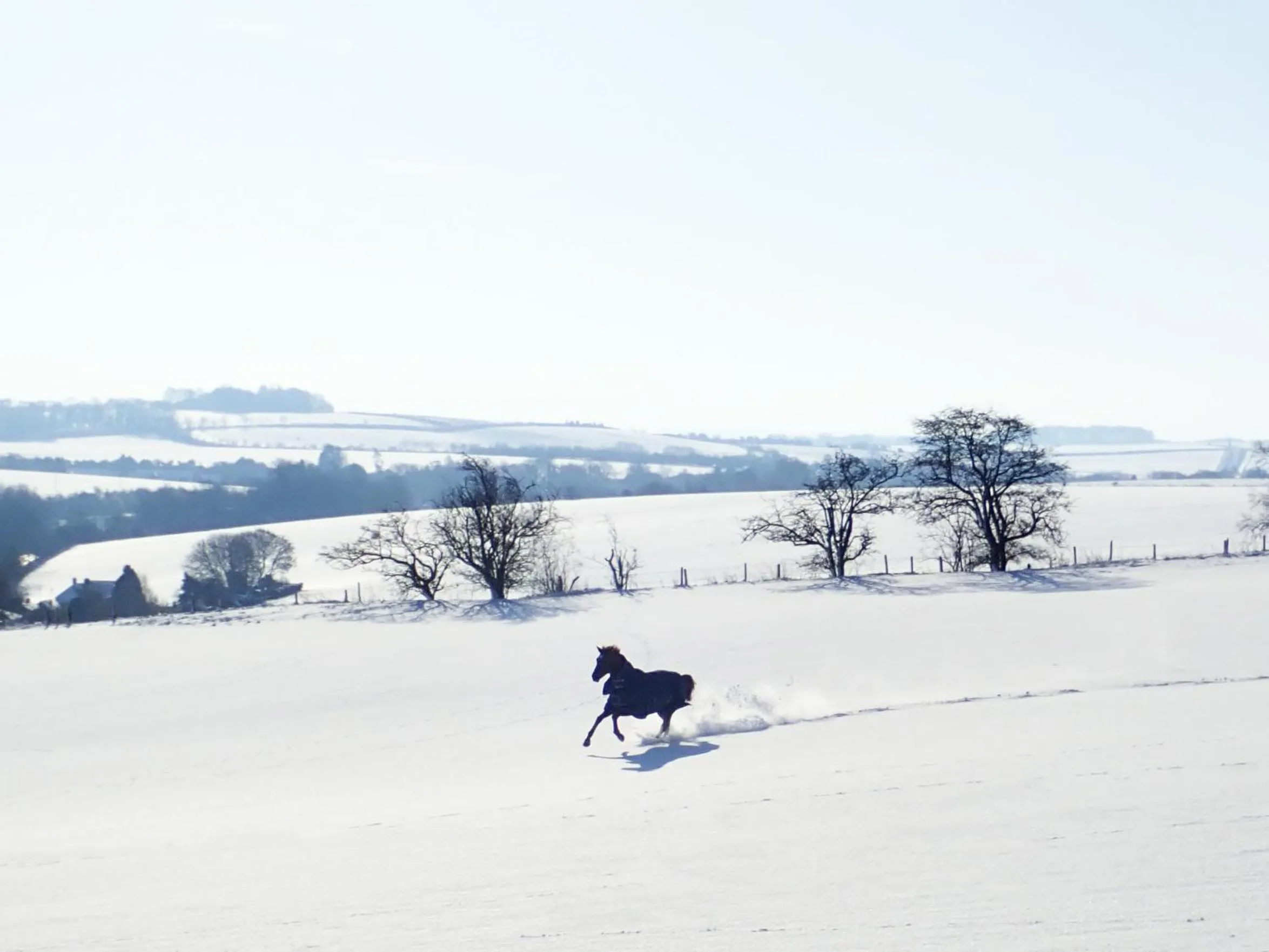 View (from property/room) in Manor Farm B&B