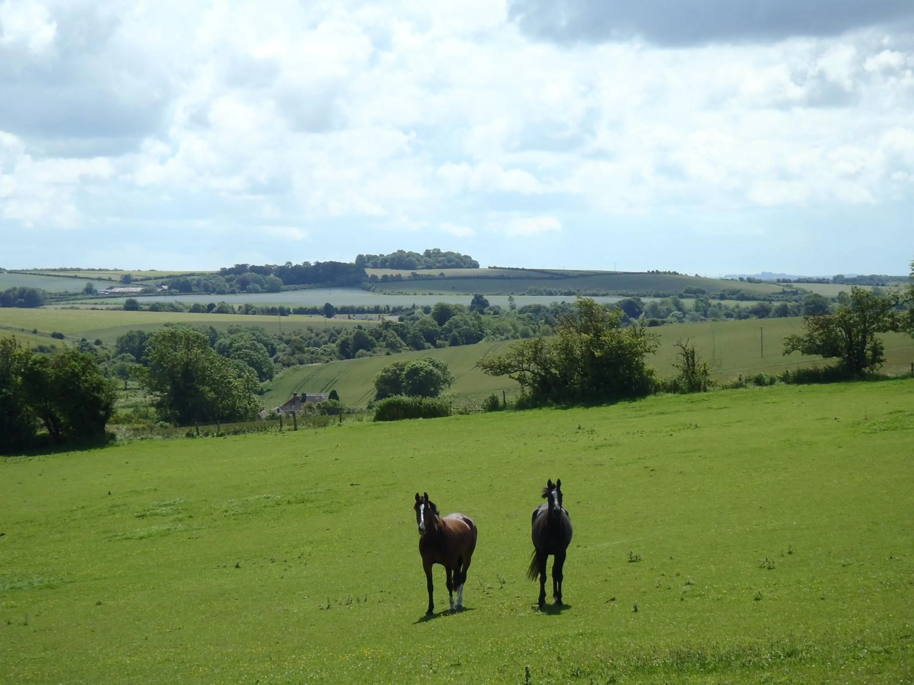 View (from property/room) in Manor Farm B&B