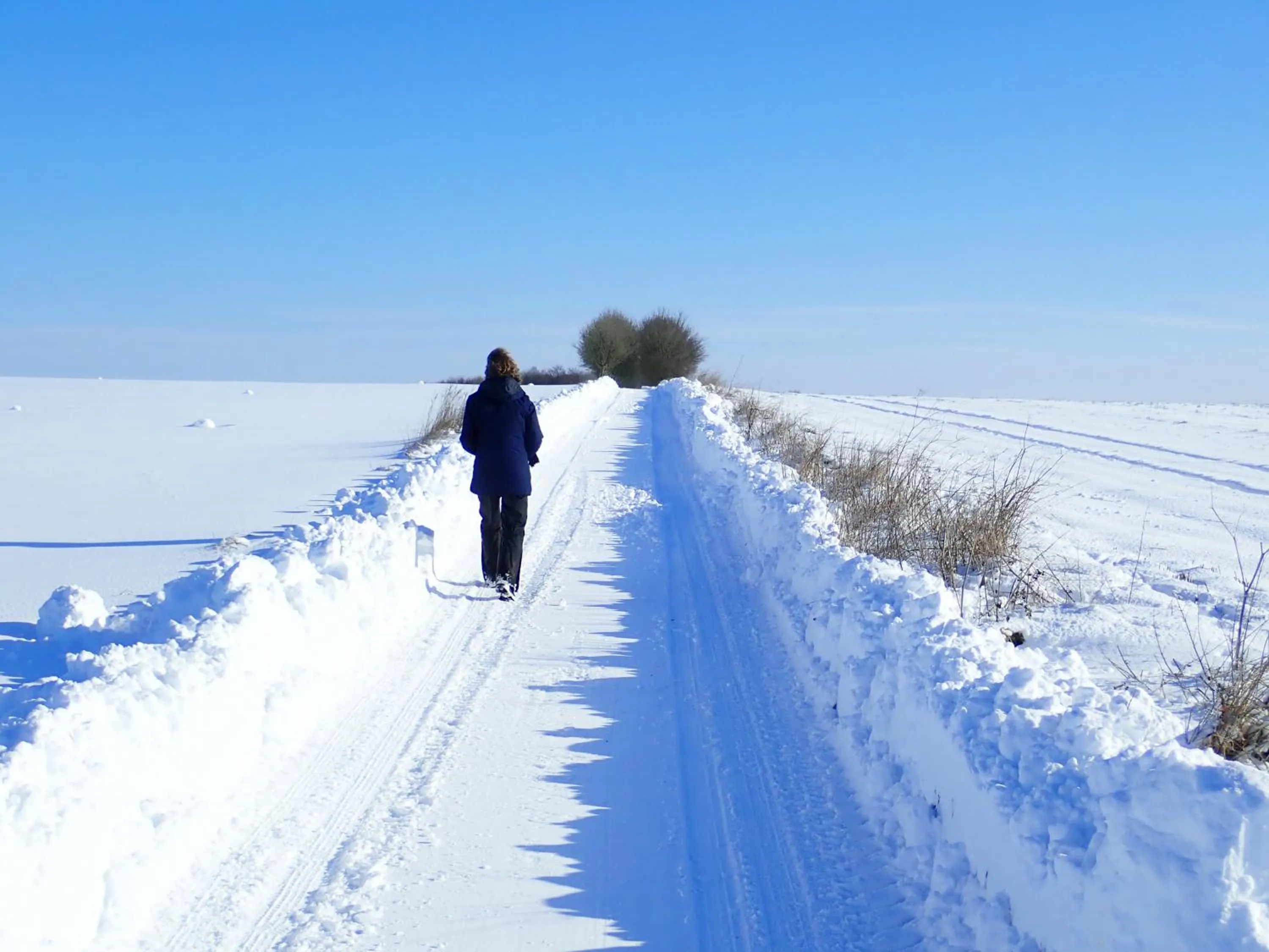 View (from property/room) in Manor Farm B&B