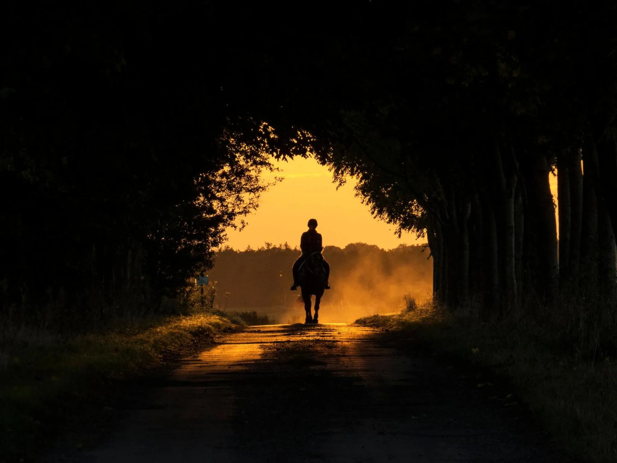View (from property/room) in Manor Farm B&B