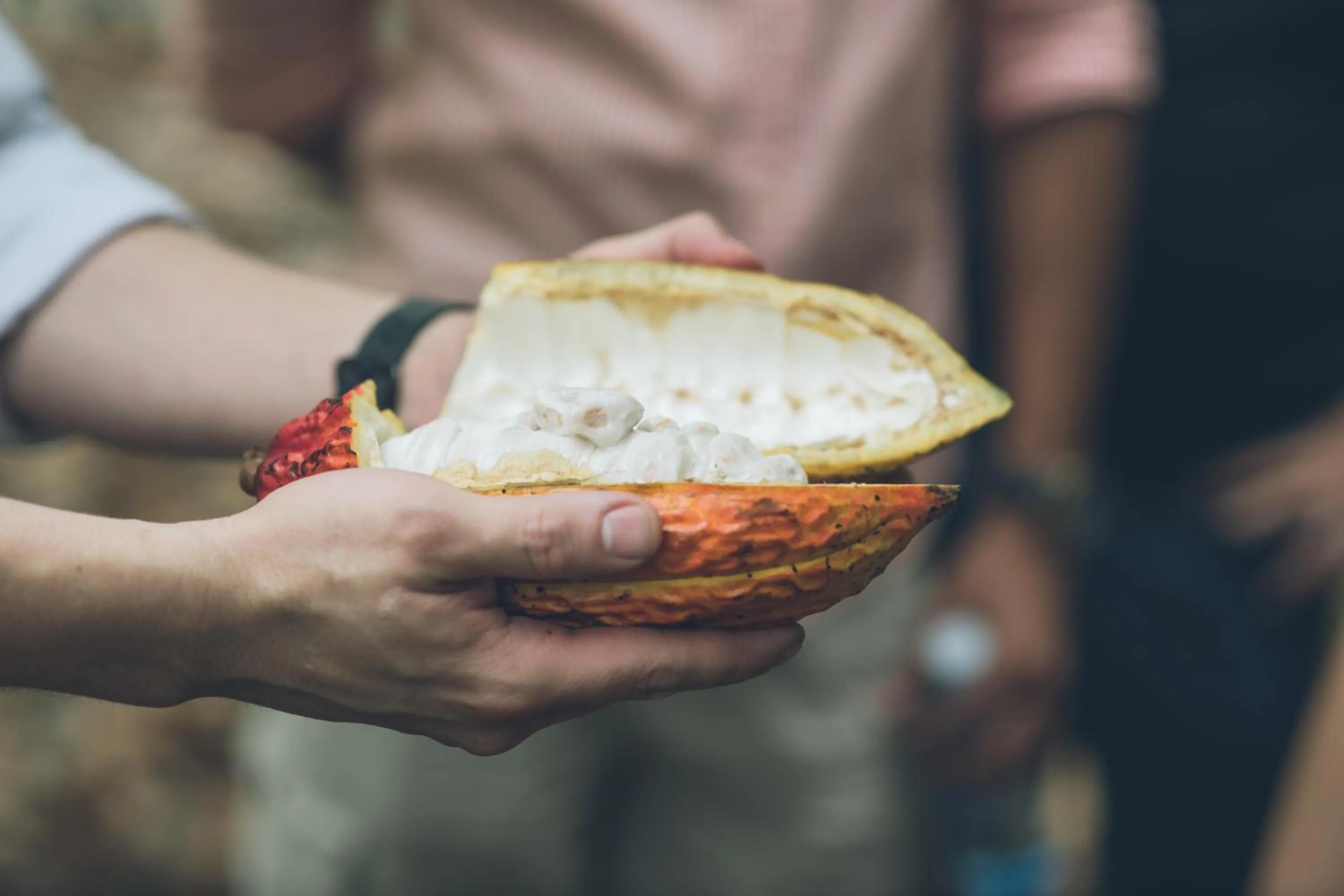 Food in Hotel del Parque