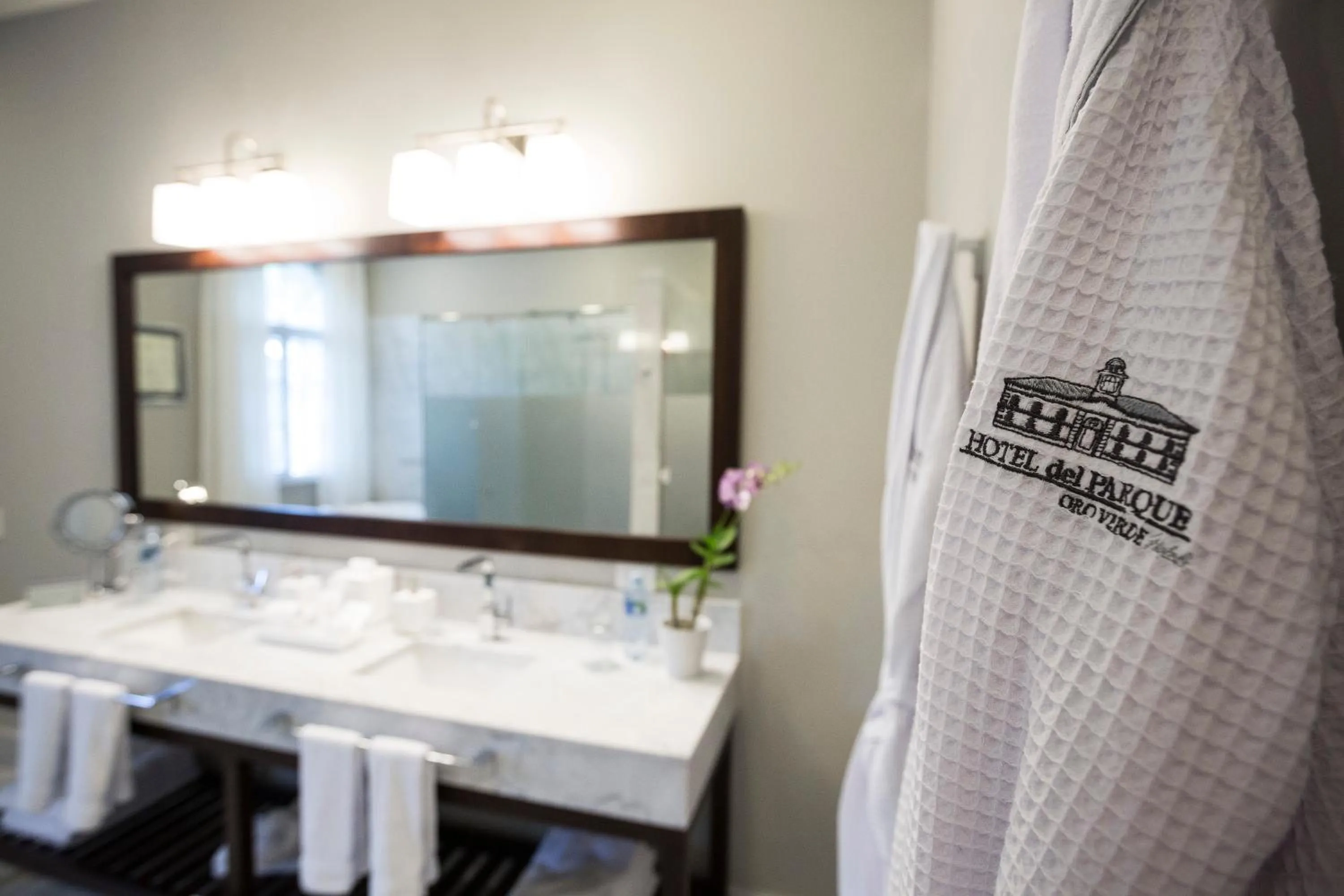 Bathroom in Hotel del Parque