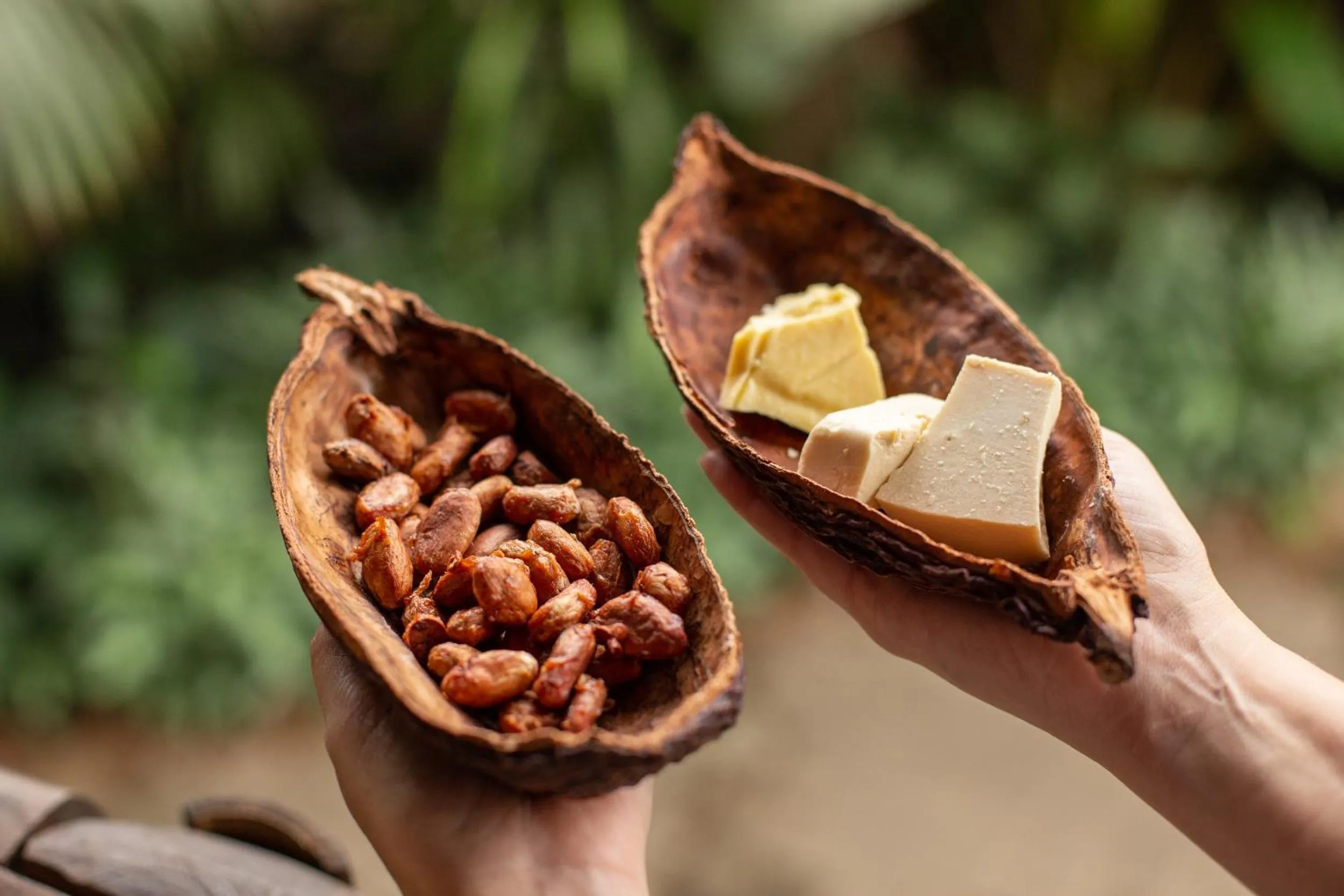 Food close-up in Hotel del Parque