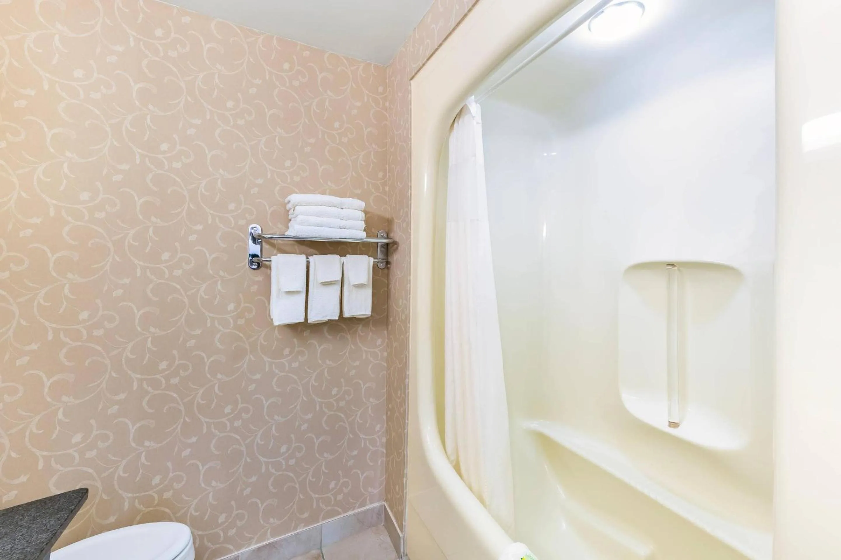 Bedroom in Rodeway Inn Festival