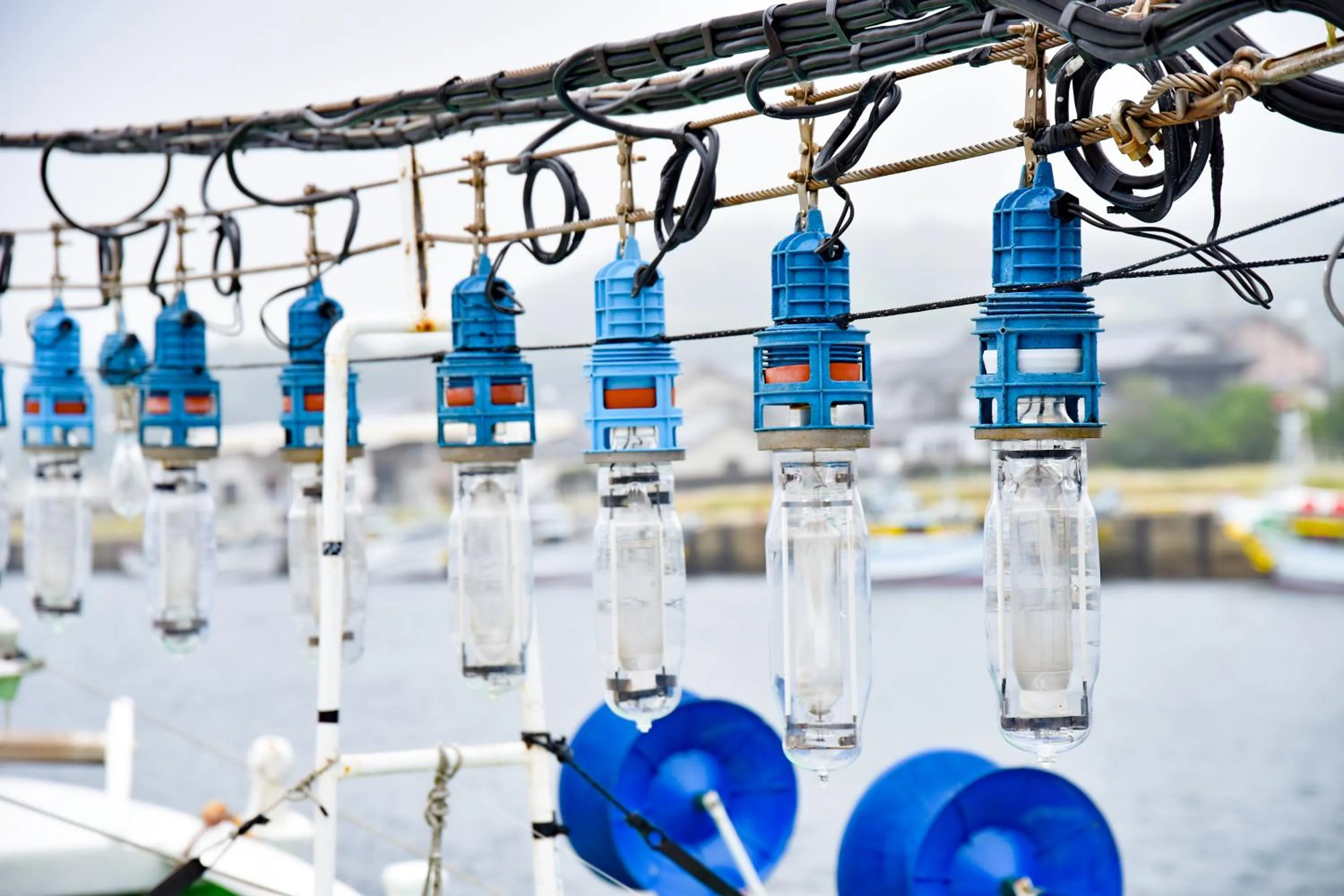 Off site in Iki Marina Hotel