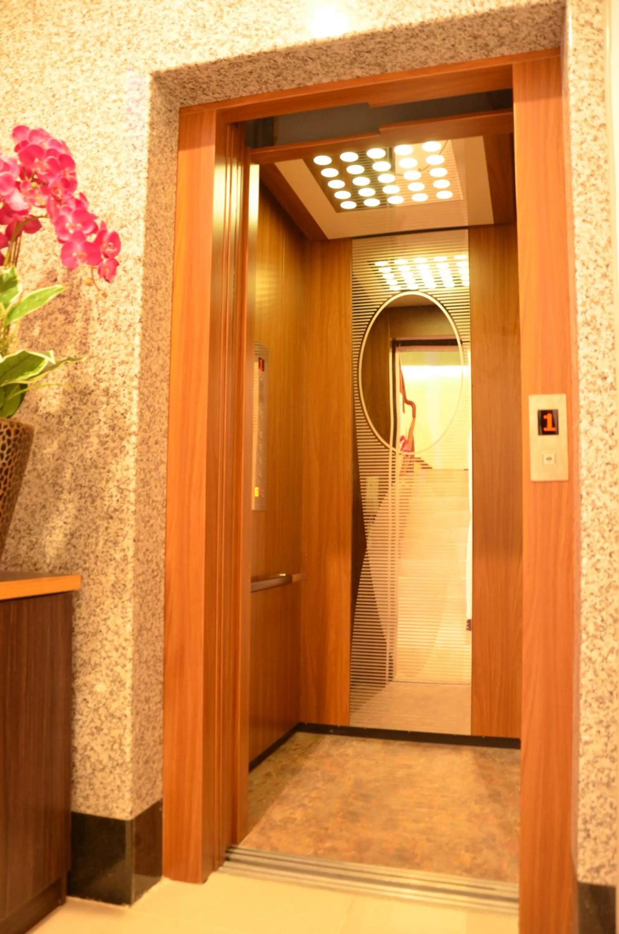 Other in Blue Ocean Stars