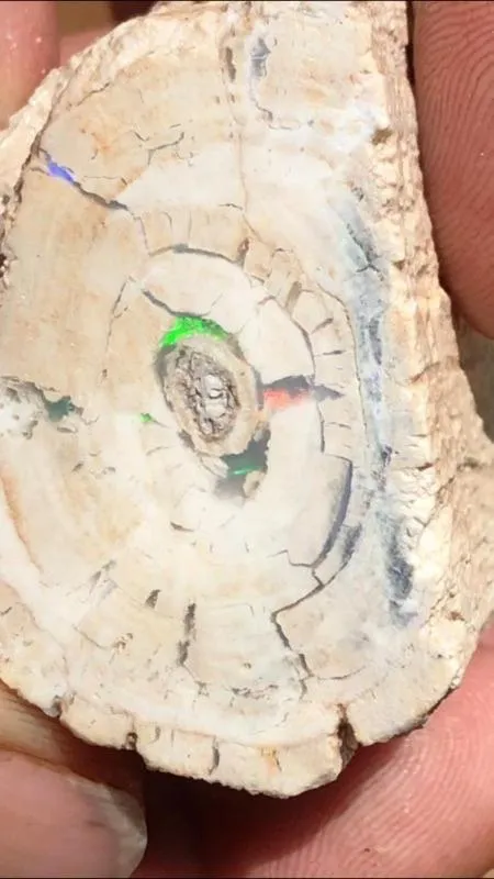 Hiking in White Cliffs Underground Motel