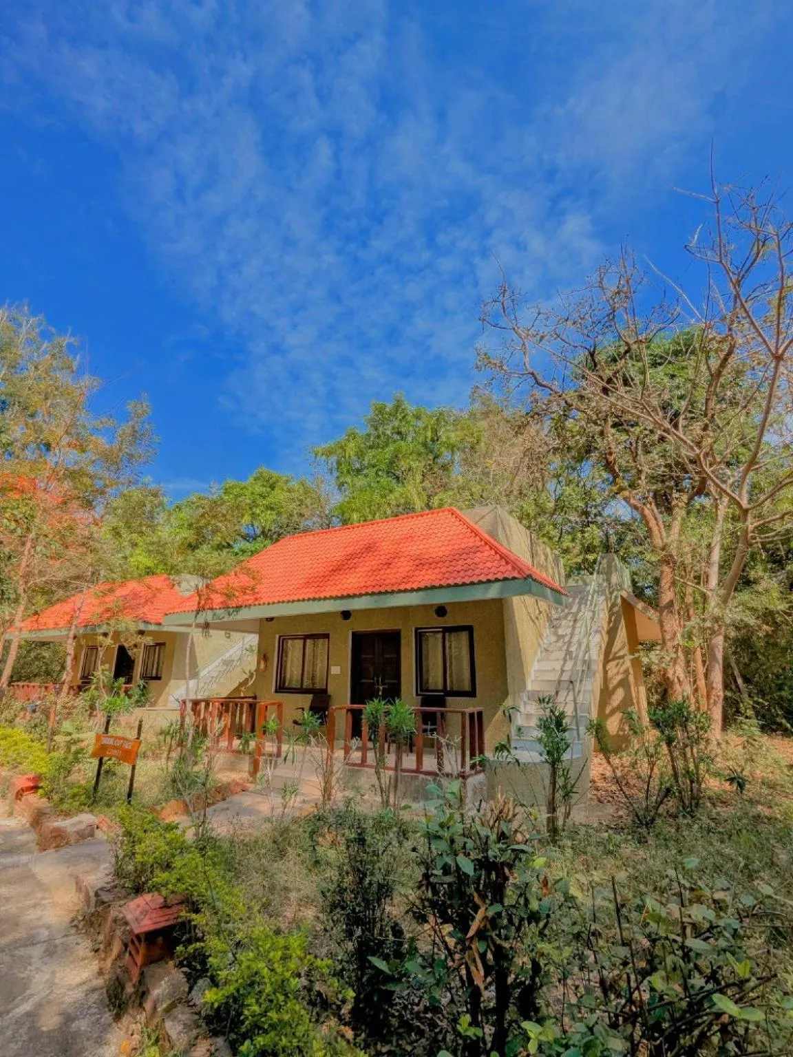 View (from property/room) in Syna Tiger Resort Bandhavgarh