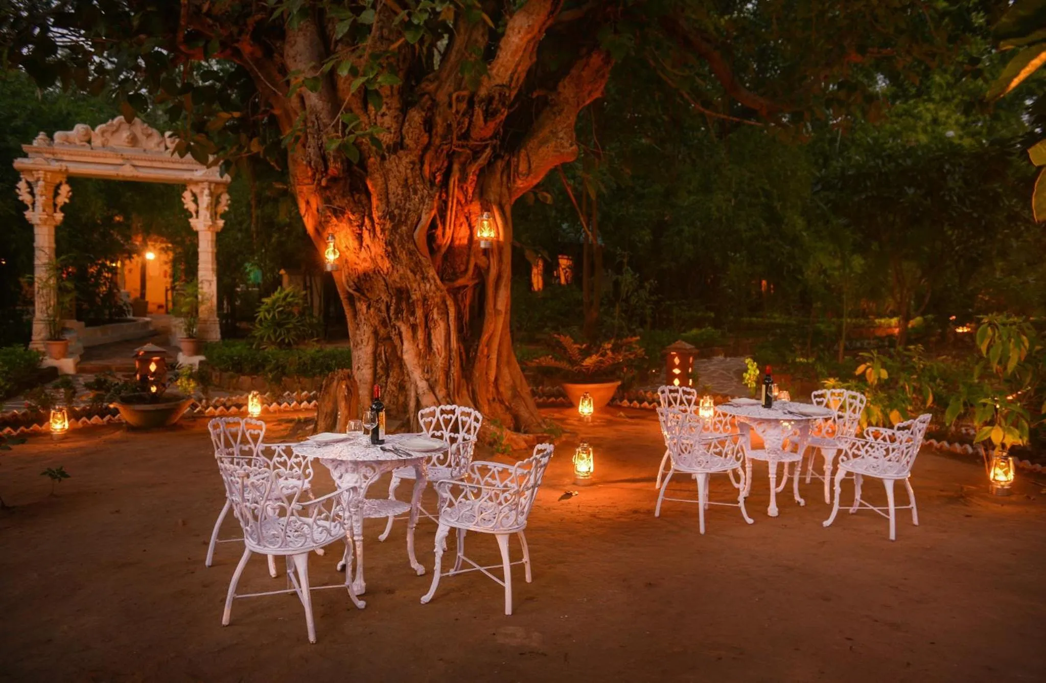 Restaurant/places to eat in Syna Tiger Resort Bandhavgarh