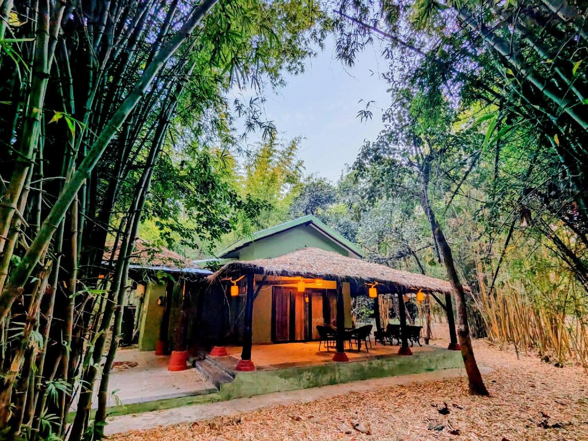 View (from property/room) in Syna Tiger Resort Bandhavgarh