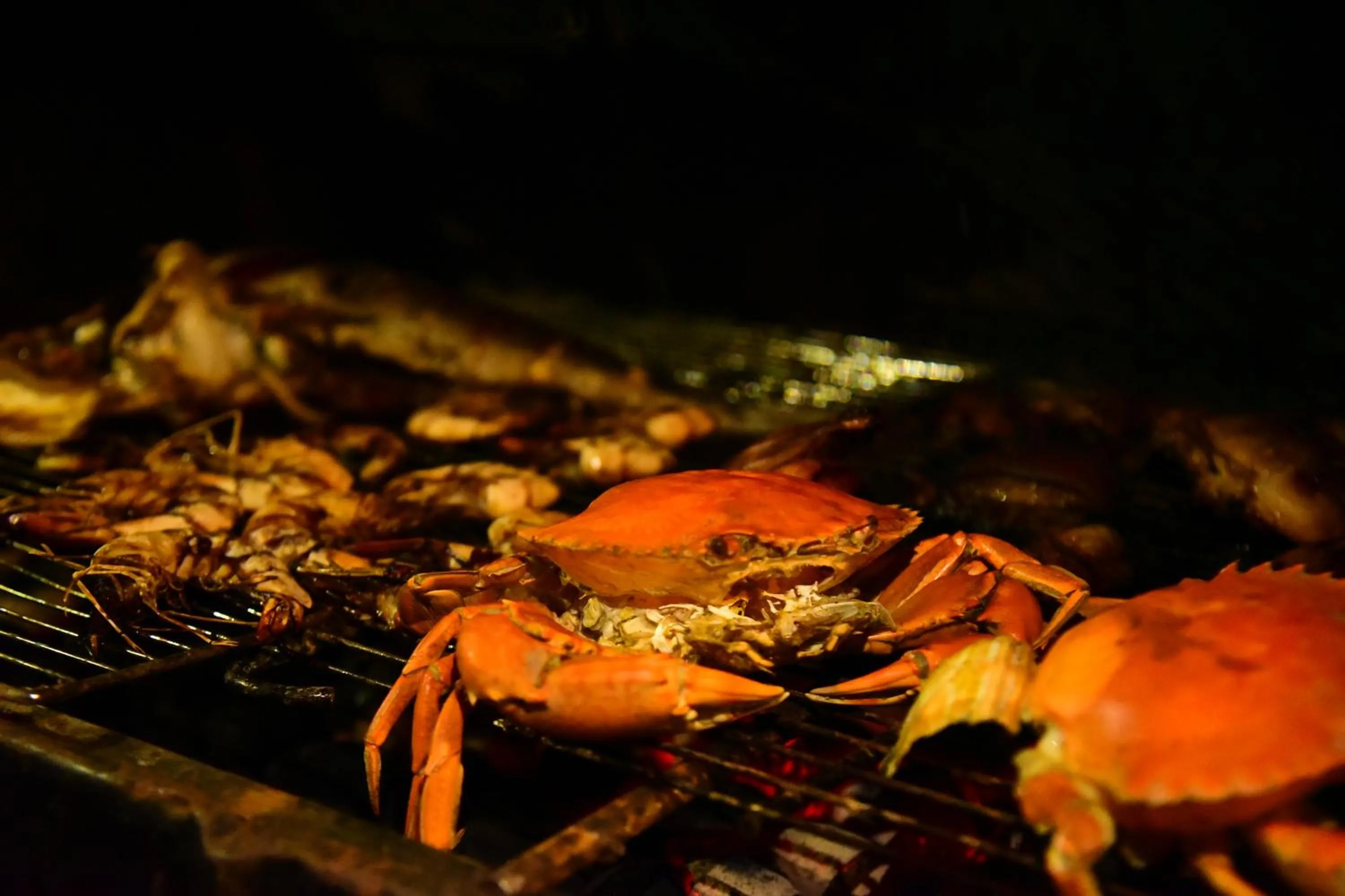 Food in Dinuda Lagoon Hotel