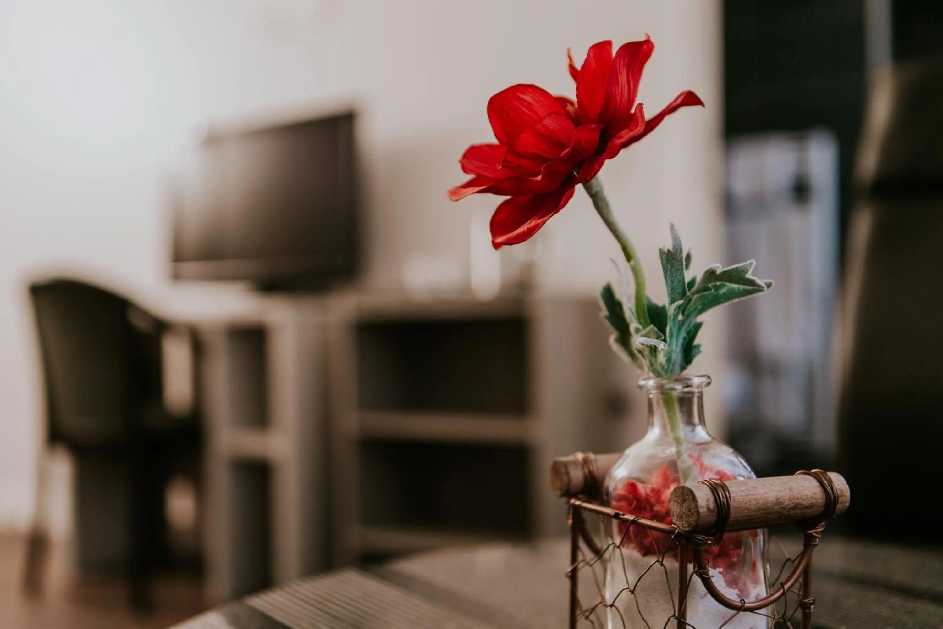 TV and multimedia in Hotel New Regina