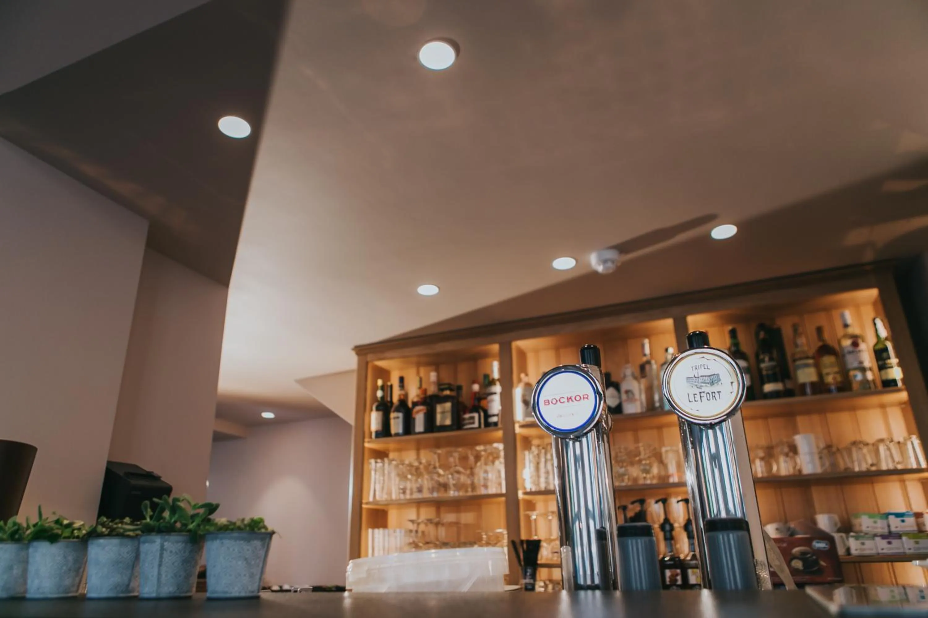 Drinks in Hotel New Regina