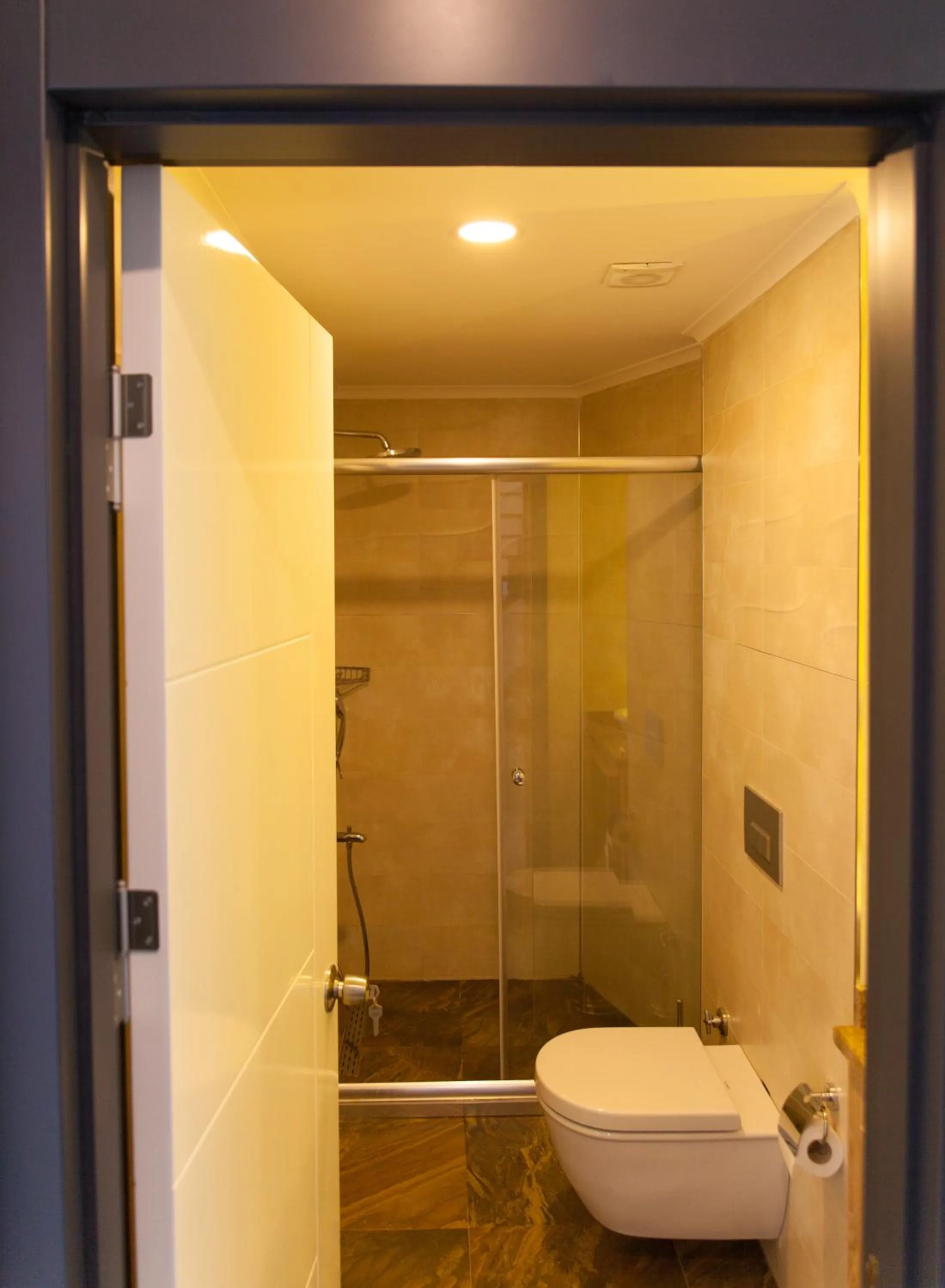 Shower in Aldino Residence