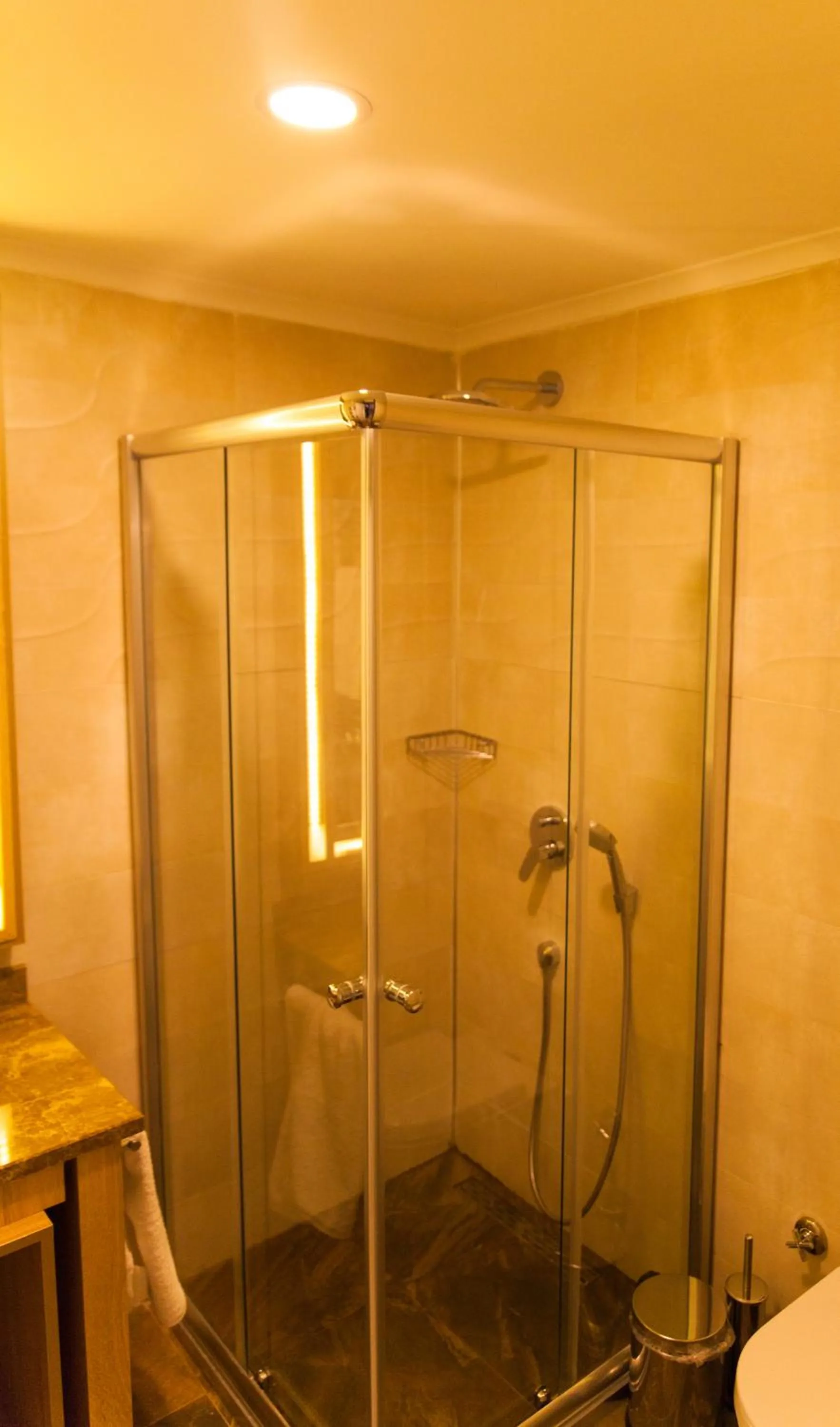 Shower in Aldino Residence