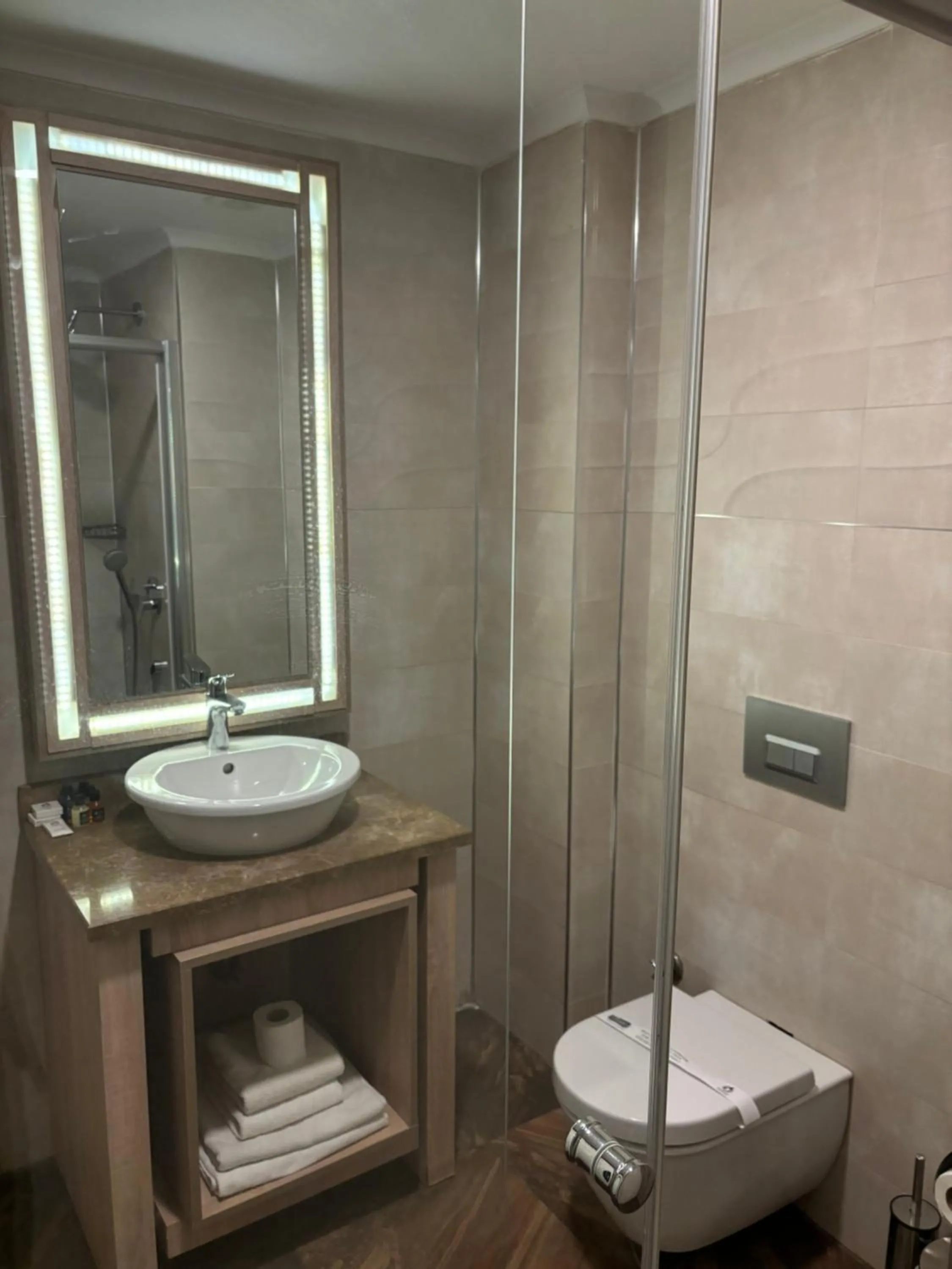 Shower in Aldino Residence