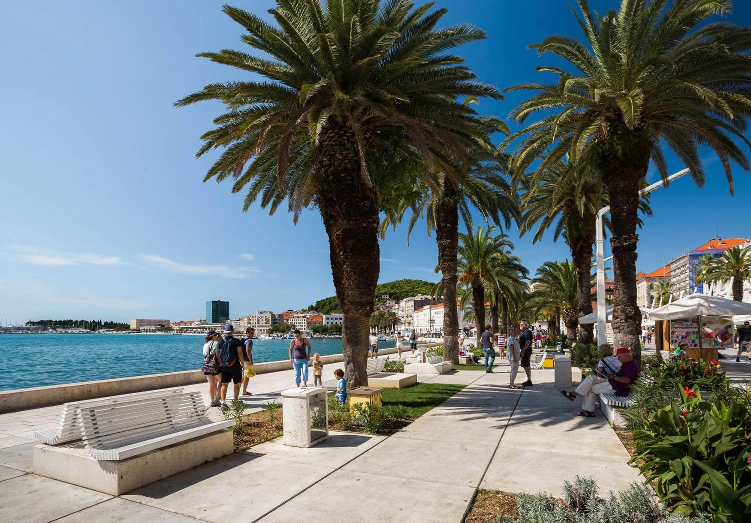 Location in VIP Rooms