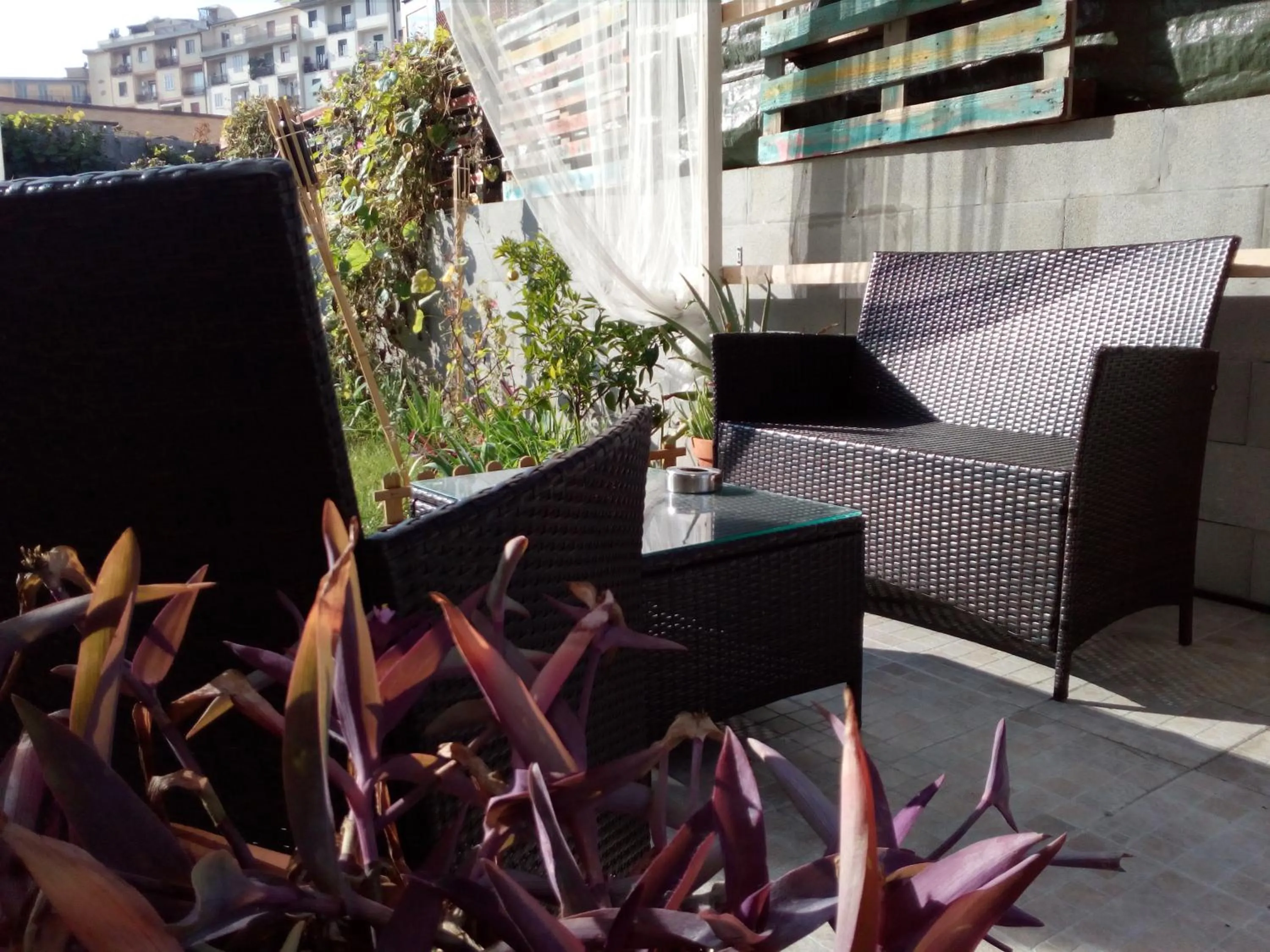 Garden view in B & B Eliana