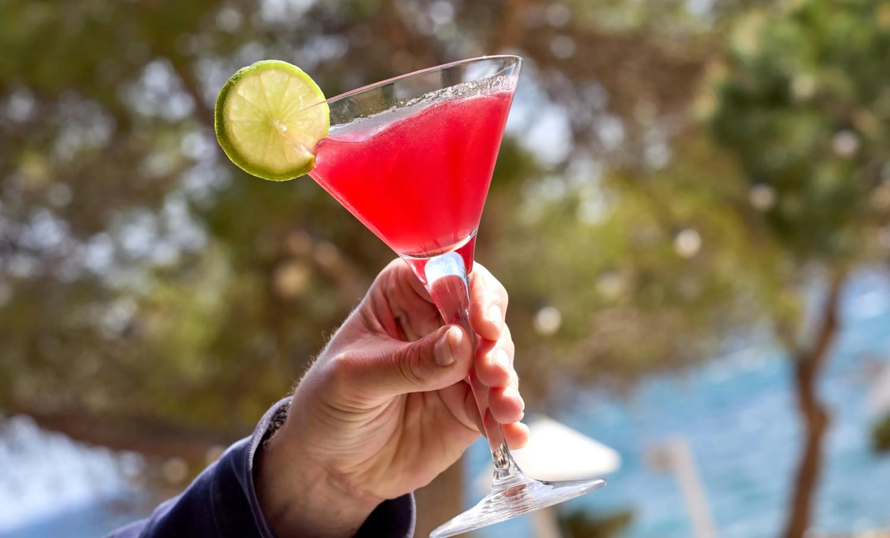 Drinks in Catalonia Royal Ses Estaques-Adults Only