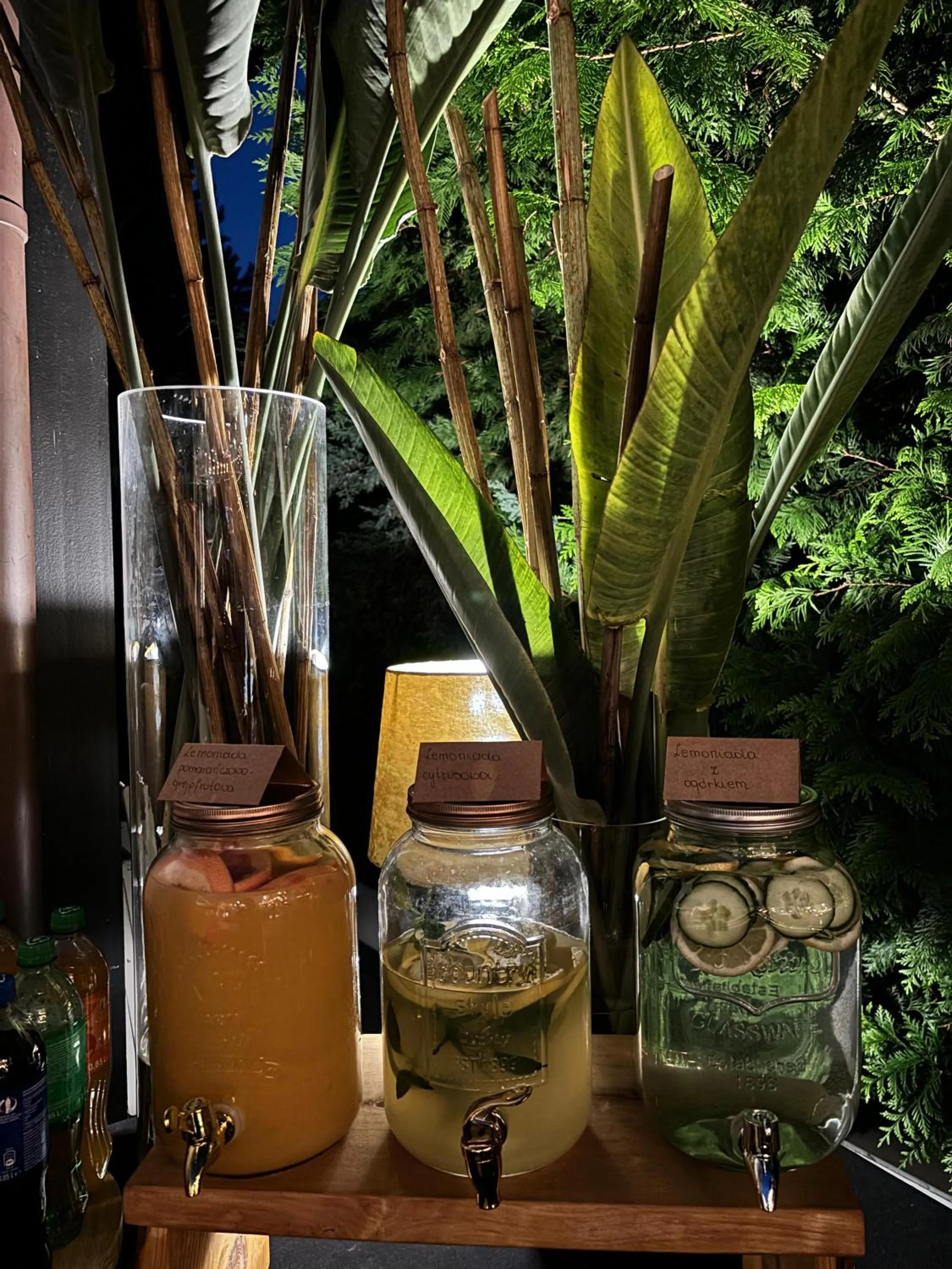 Night in Rezydencja na Wzgórzu w zielonym sercu Łodzi przy Parku Krajobrazowym Ruda Wiilowa